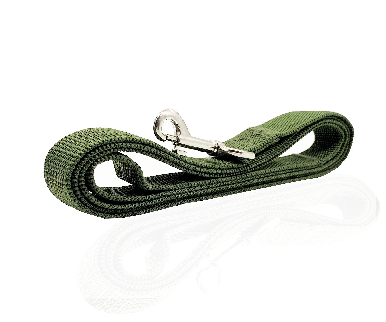 Nylon Dog Leash 16 Feet Long, Walking Training Dog Leashes For Medium Large Dogs(1'' X 16 Ft, Green)