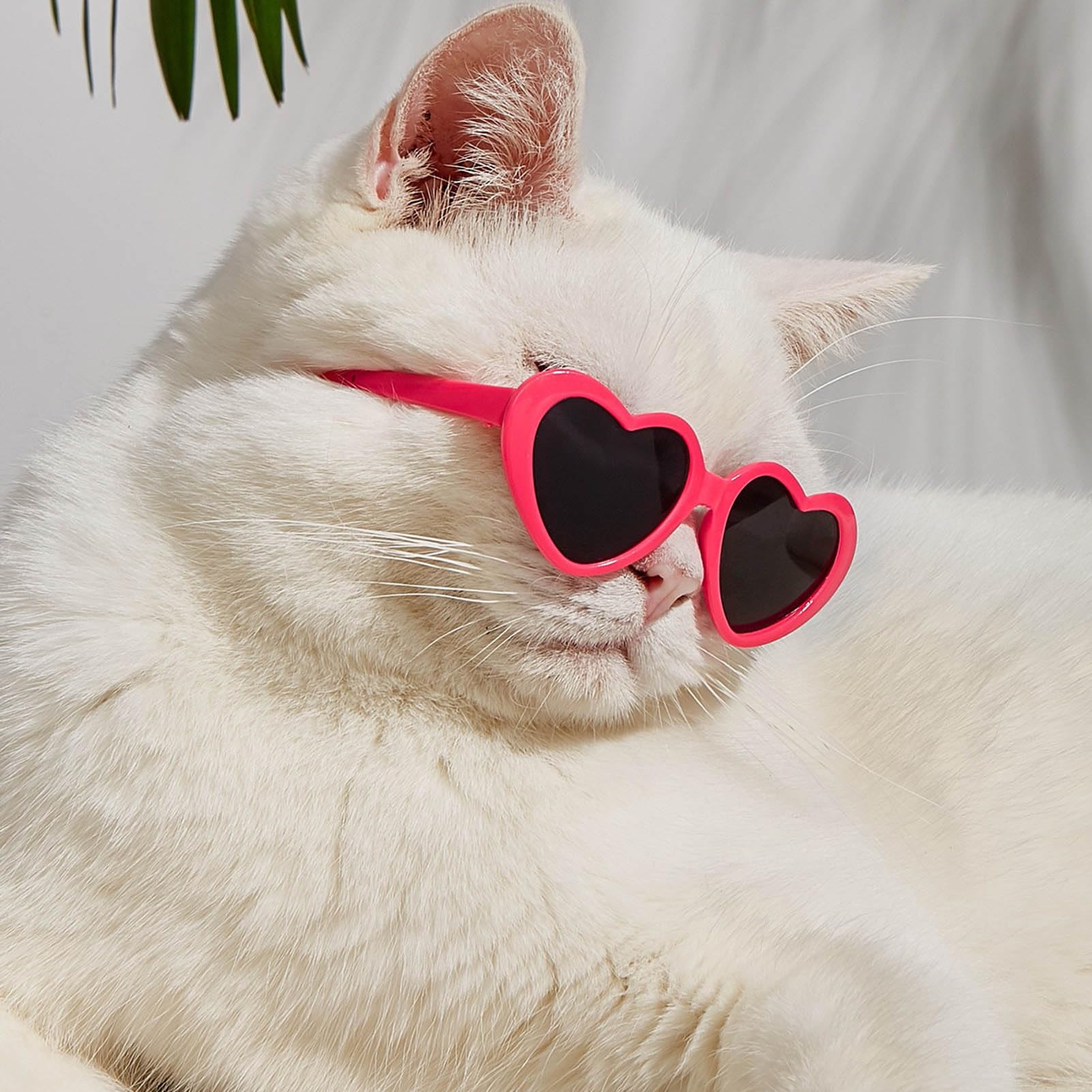 2Pcs Pink Heart-Shaped Pet Sunglasses Cute Pet Dog Sunglasses Cat Glasses Heart Sun Flower Glasses For Small Dogs Cat Accessorie