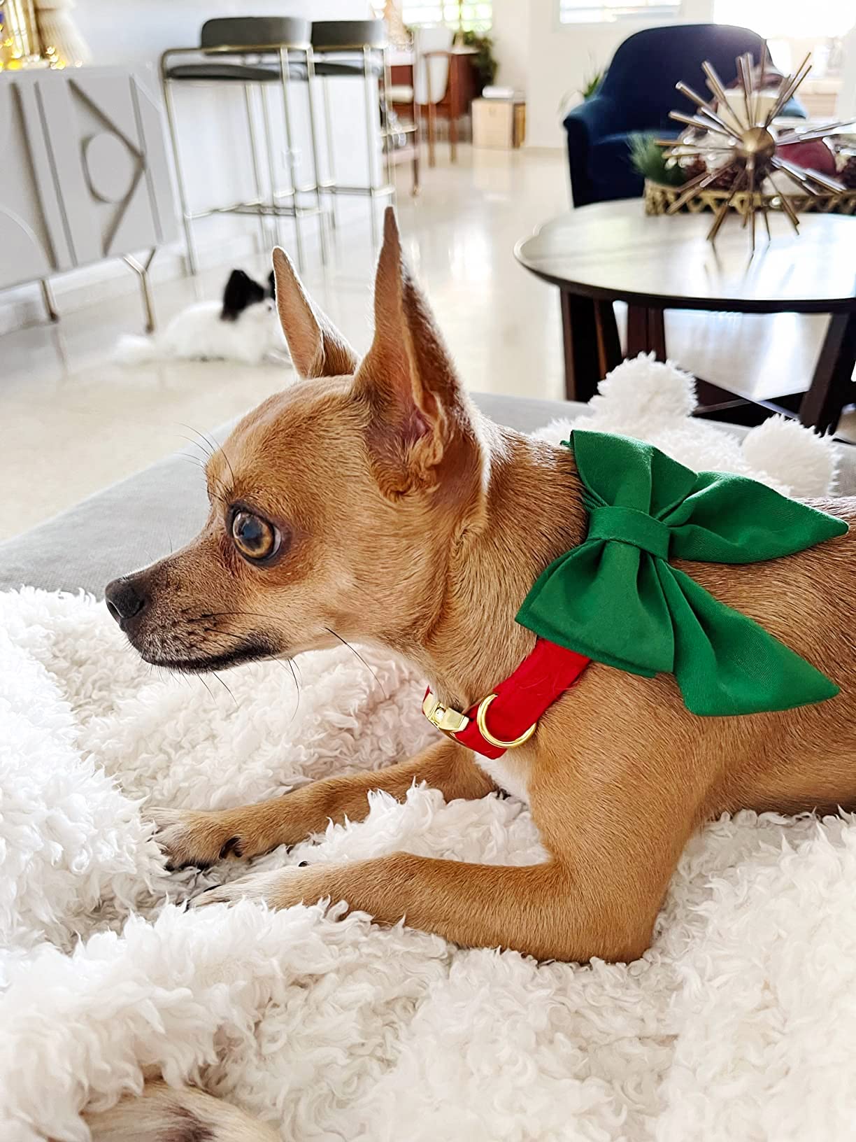 Maca Bates Christmas Dog Collar With Bow Bowtie For Dogs Sailor Bow Tie Adjustable Breakaway Red Green Collars Accessories Gift