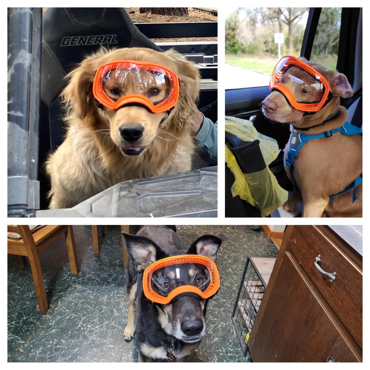 Billionchains Dog Sunglasses Uv Protection Clear Dog Goggles Windproof Glasses With Elastic Straps For Medium-Large Breed, Orang