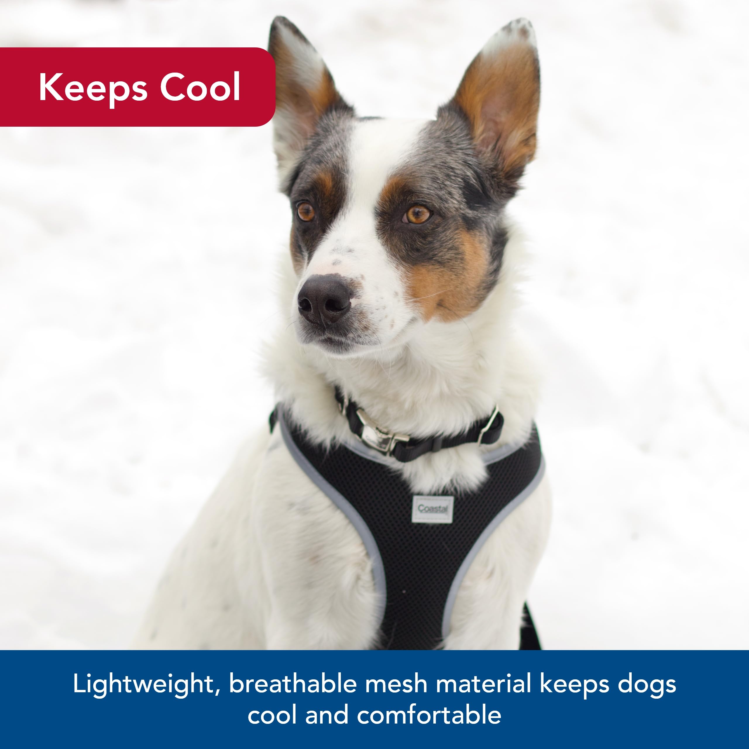 Coastal Pet Comfort Soft Reflective Wrap Adjustable Dog Harness - No-Pull Dog Harness For Small & Large Dogs - Black - 5/8' X 19'–23'