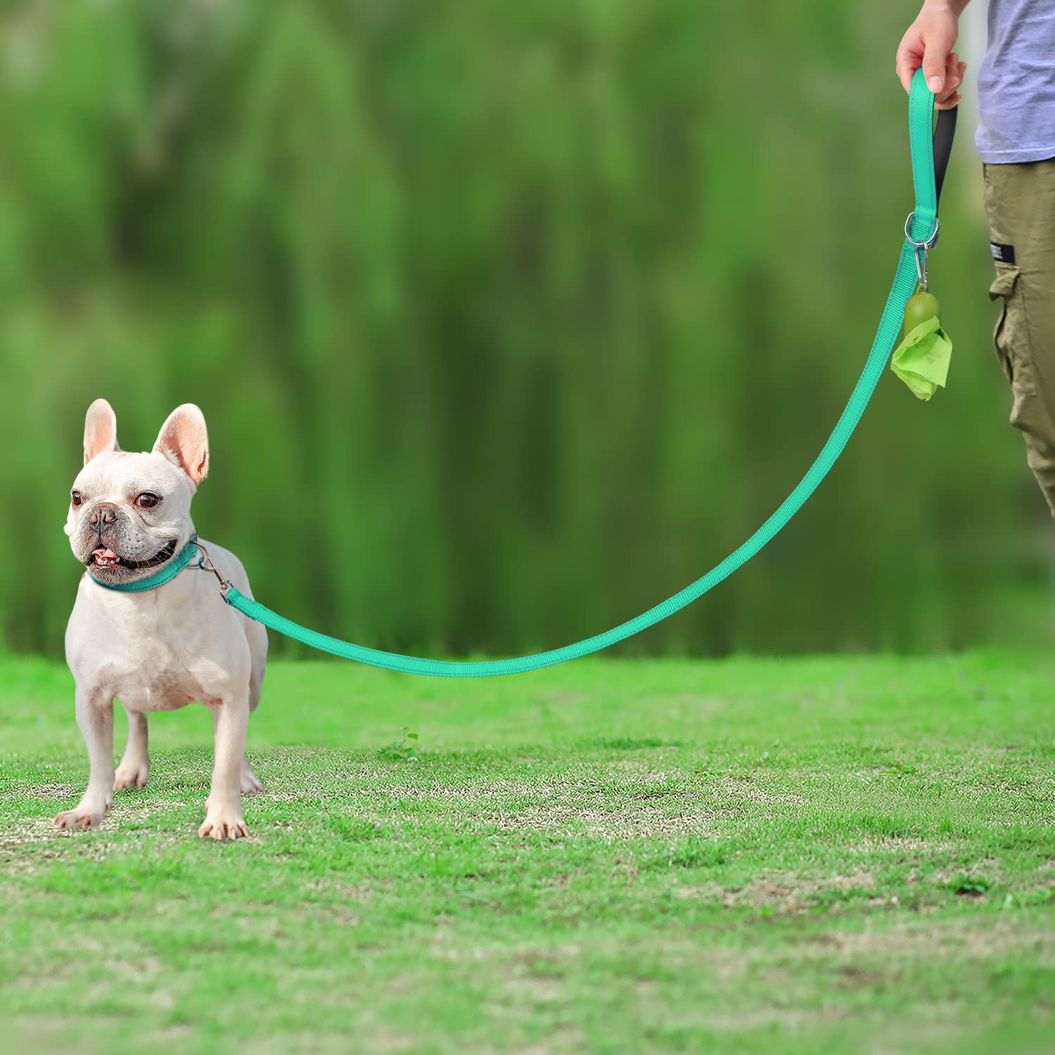 Joytale Double-Sided Reflective Dog Leash, 6 Ft/5 Ft/4 Ft, Padded Handle Nylon Dogs Leashes For Small & Medium Dogs Walking, Teal, 5Ft