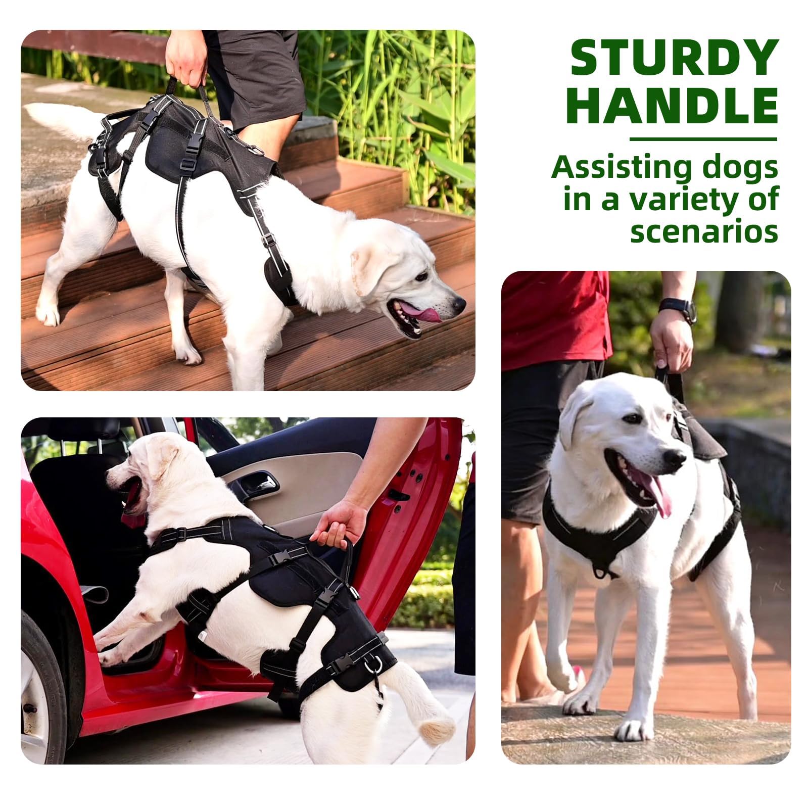 Pupteck Dog Lift Harness For Medium Large Sized Dog, Rehabilitation Sling For Hind Leg Support, Multifunctional Mobility Assista