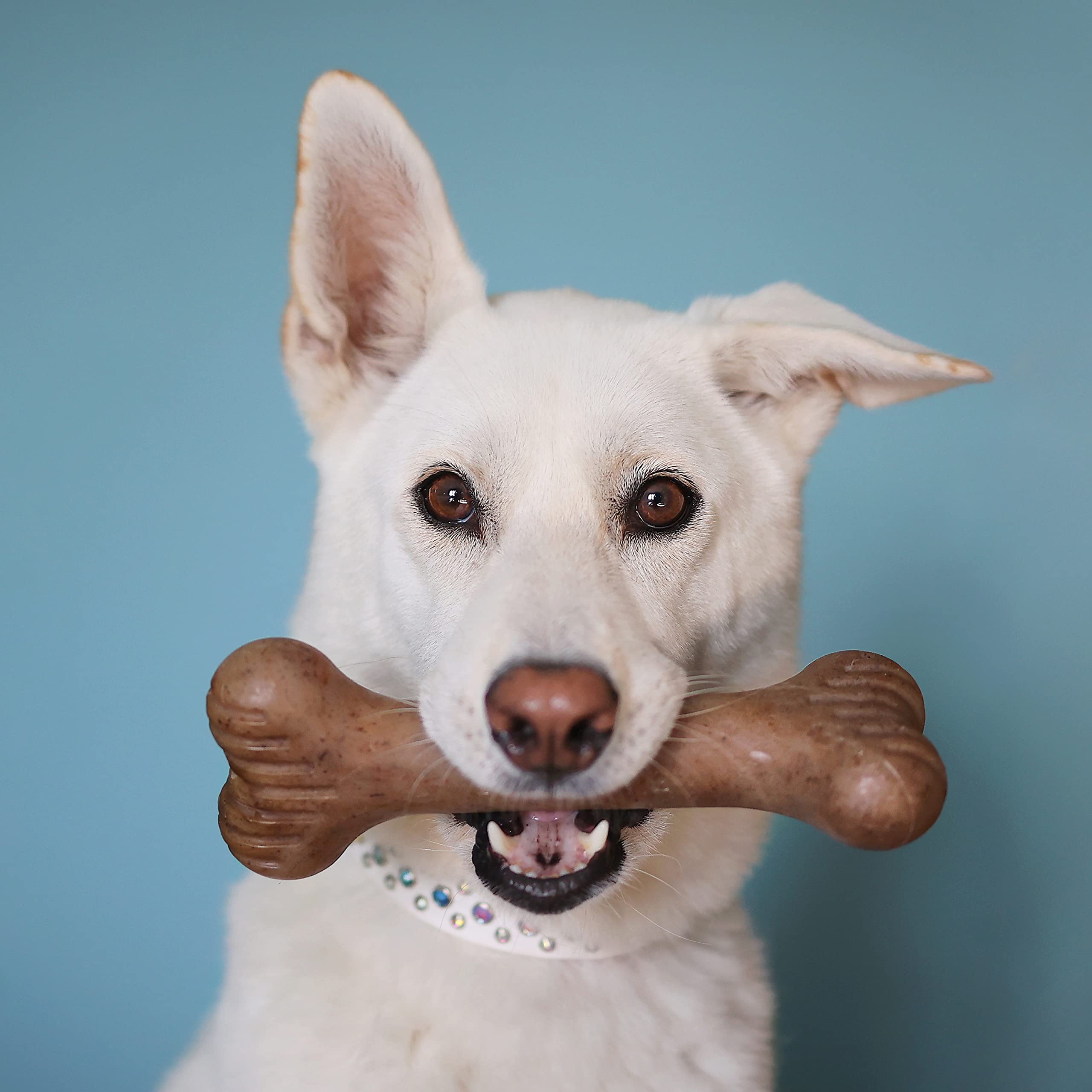 Lumabone Bulkster Durable Chew Toy For Aggressive Chewers, Dog Toys For Aggressive Chewers, Dog Toys, Real Bacon, Made In Usa, Medium