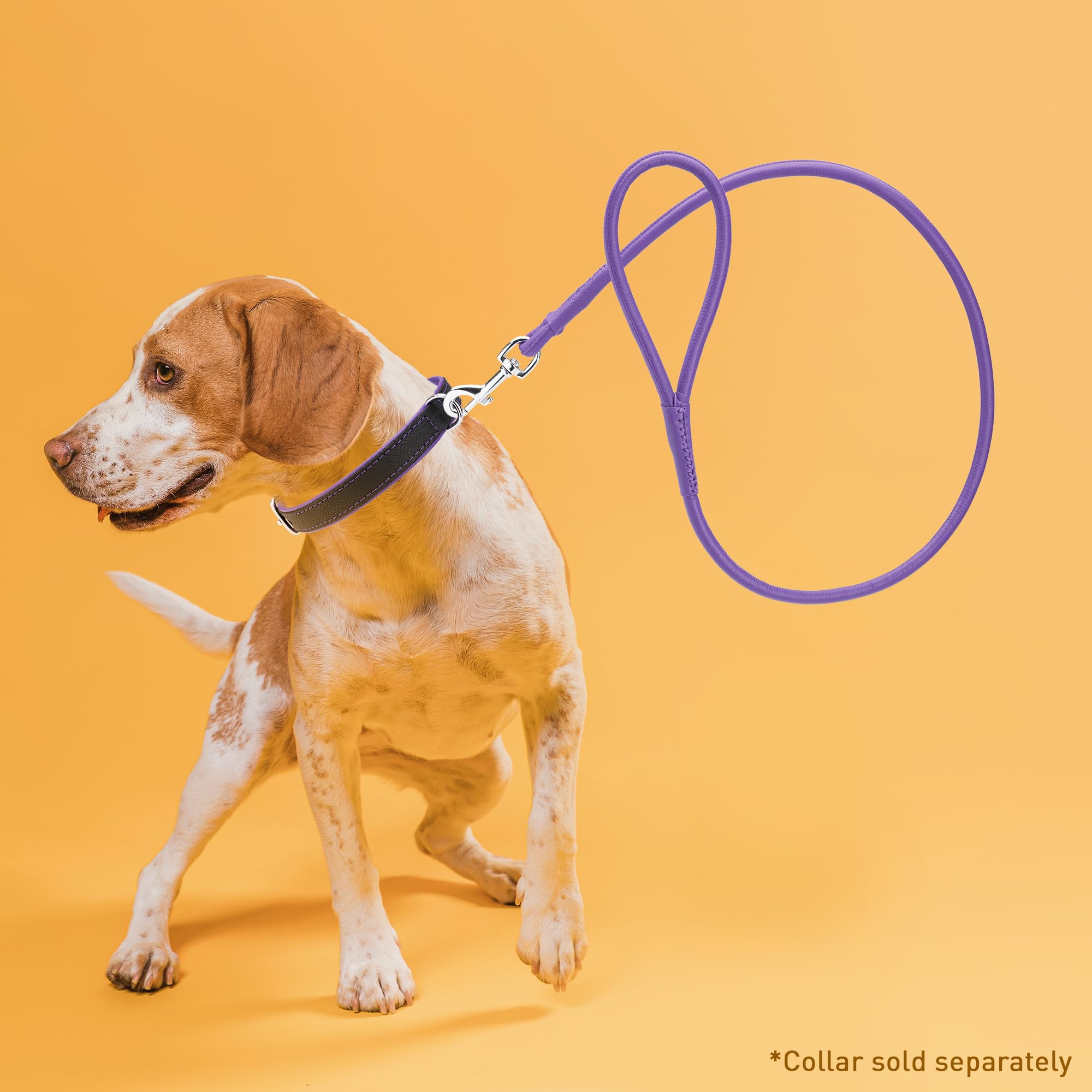 Dogline 1/4-Inch Wide Soft Padded Rolled Round Leather Dog Leash Lead, 4-Feet, Purple