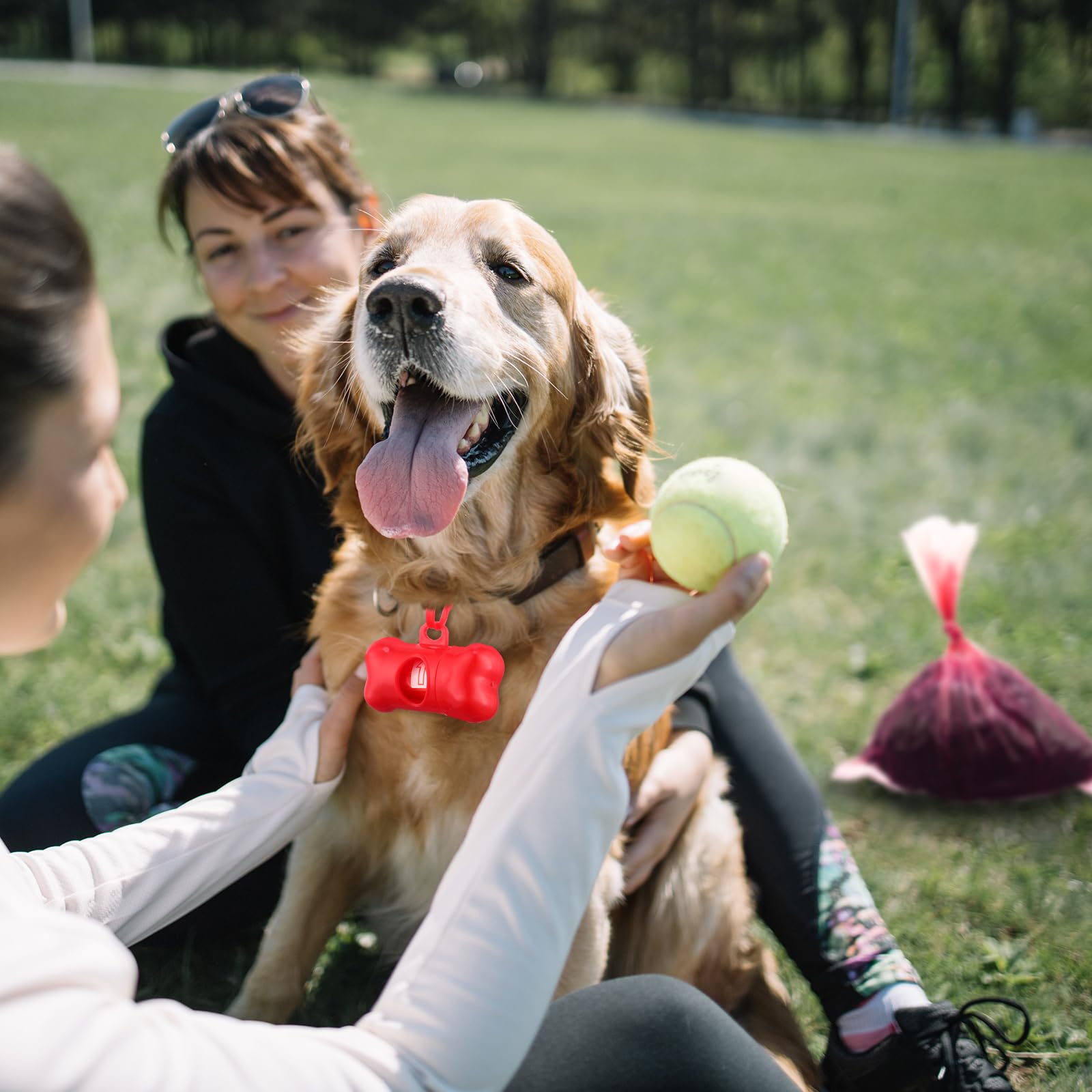 Skyygemm 192 Sets Dog Poop Waste Bags With 192 Dog Poop Bag With Dispenser Bulk Pet Waste Disposal Bag Puppy Pet Supplies For Wa