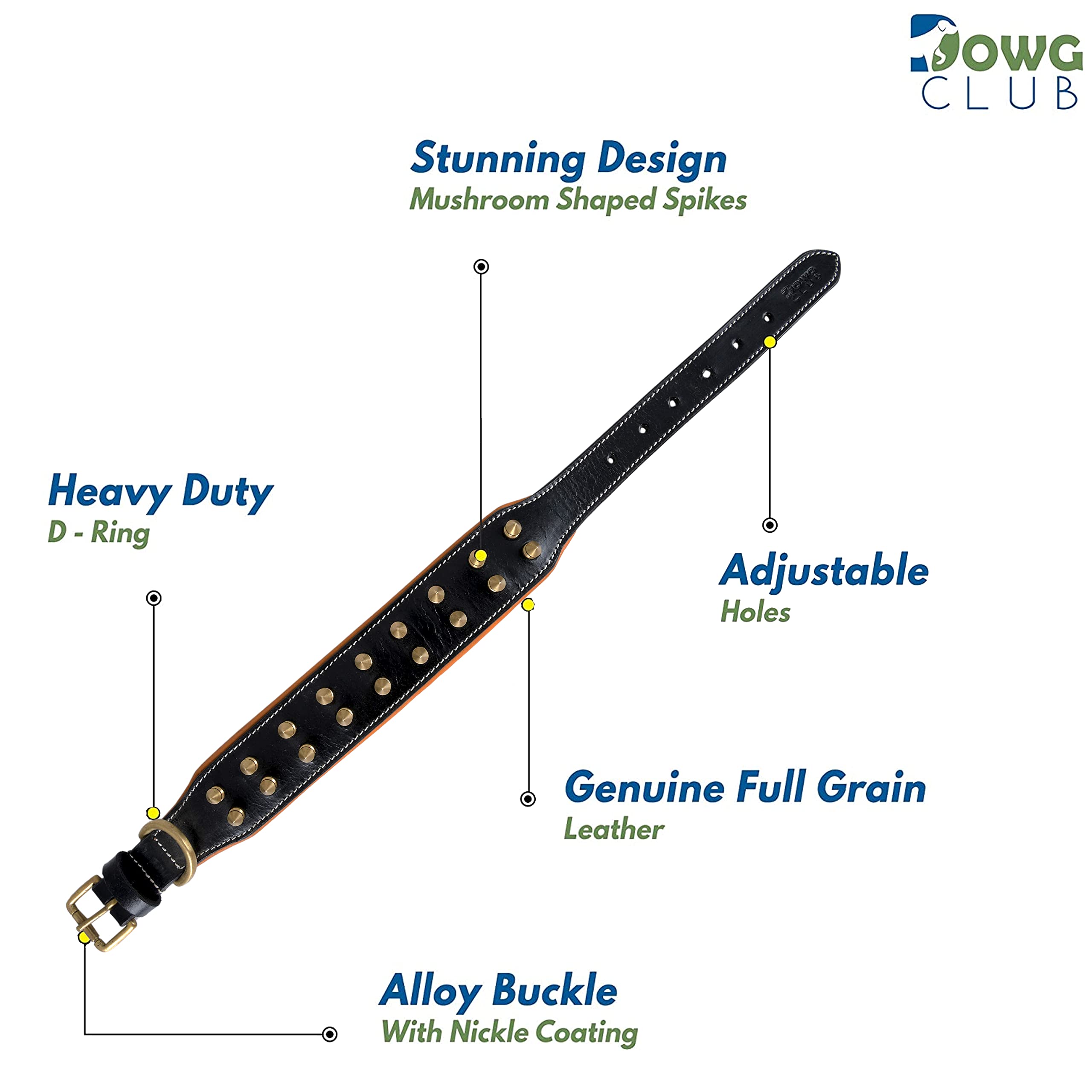 Dowgclub Spiked Leather Dog Collar - 1.75' Wide Full Grain Bridle Leather, Heavy Duty, Padded & Adjustable - For Medium Breeds