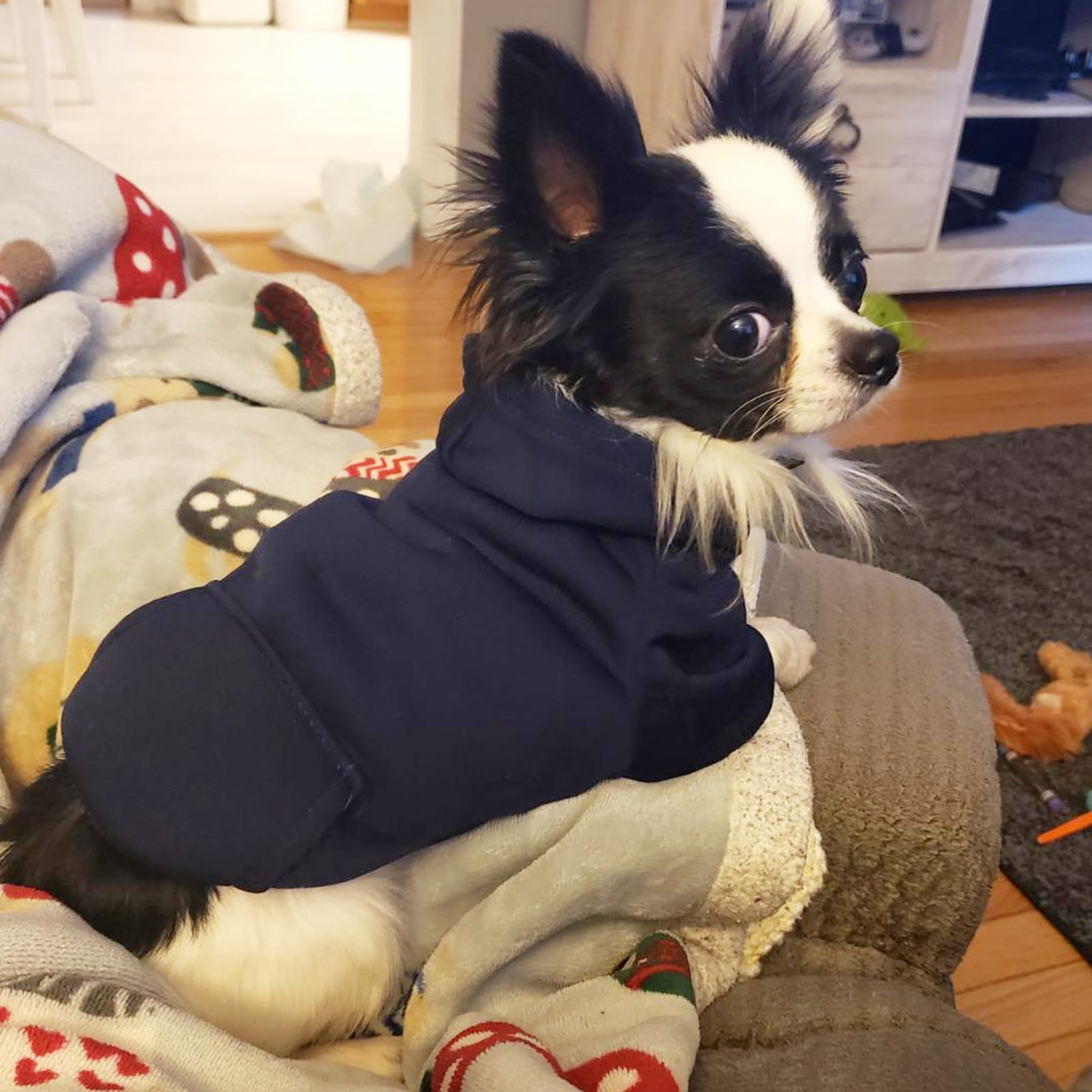 Jecikelon Winter Dog Hoodie Sweatshirts With Pockets Warm Dog Clothes For Small Dogs Chihuahua Coat Clothing Puppy Cat Custume (Medium, Navy)