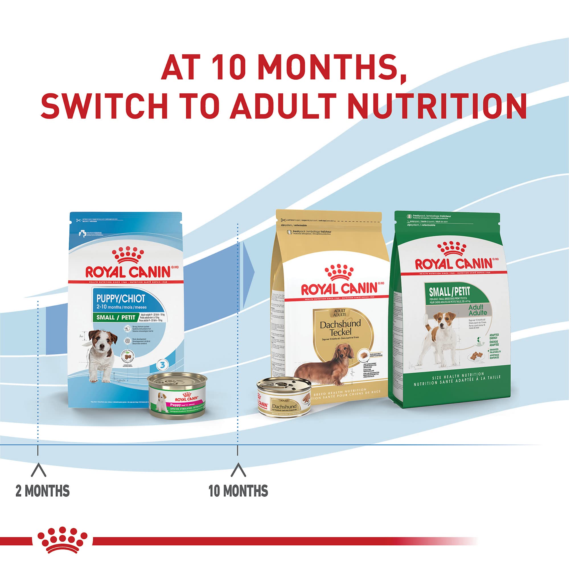 Royal Canin Size Health Nutrition Small Breed Dry Puppy Food, Supports Brain Development, Immune Support, and Digestive Health,