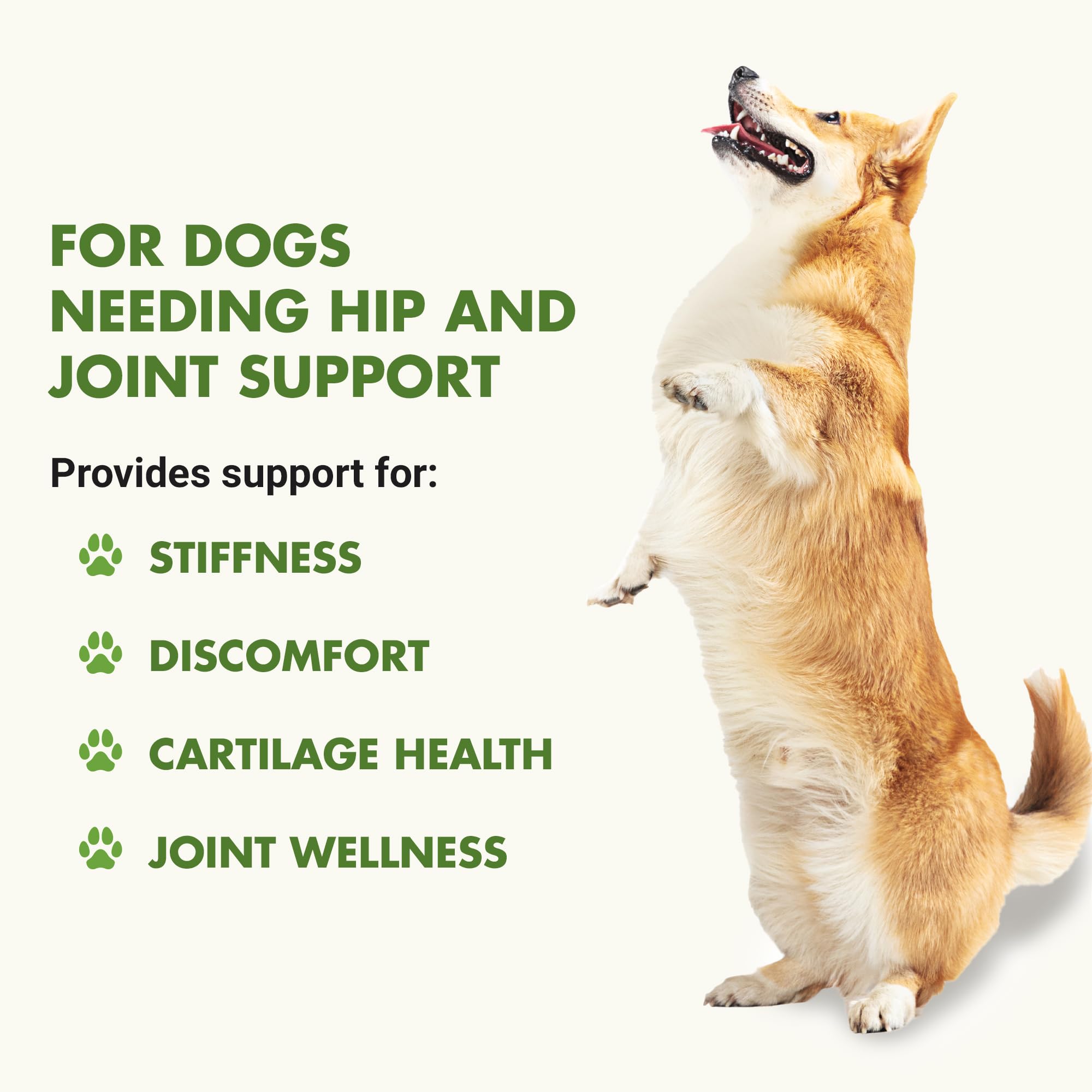 K9 Hip & Joint Advanced Formula, Bacon Flavor, 8 oz Trial Size