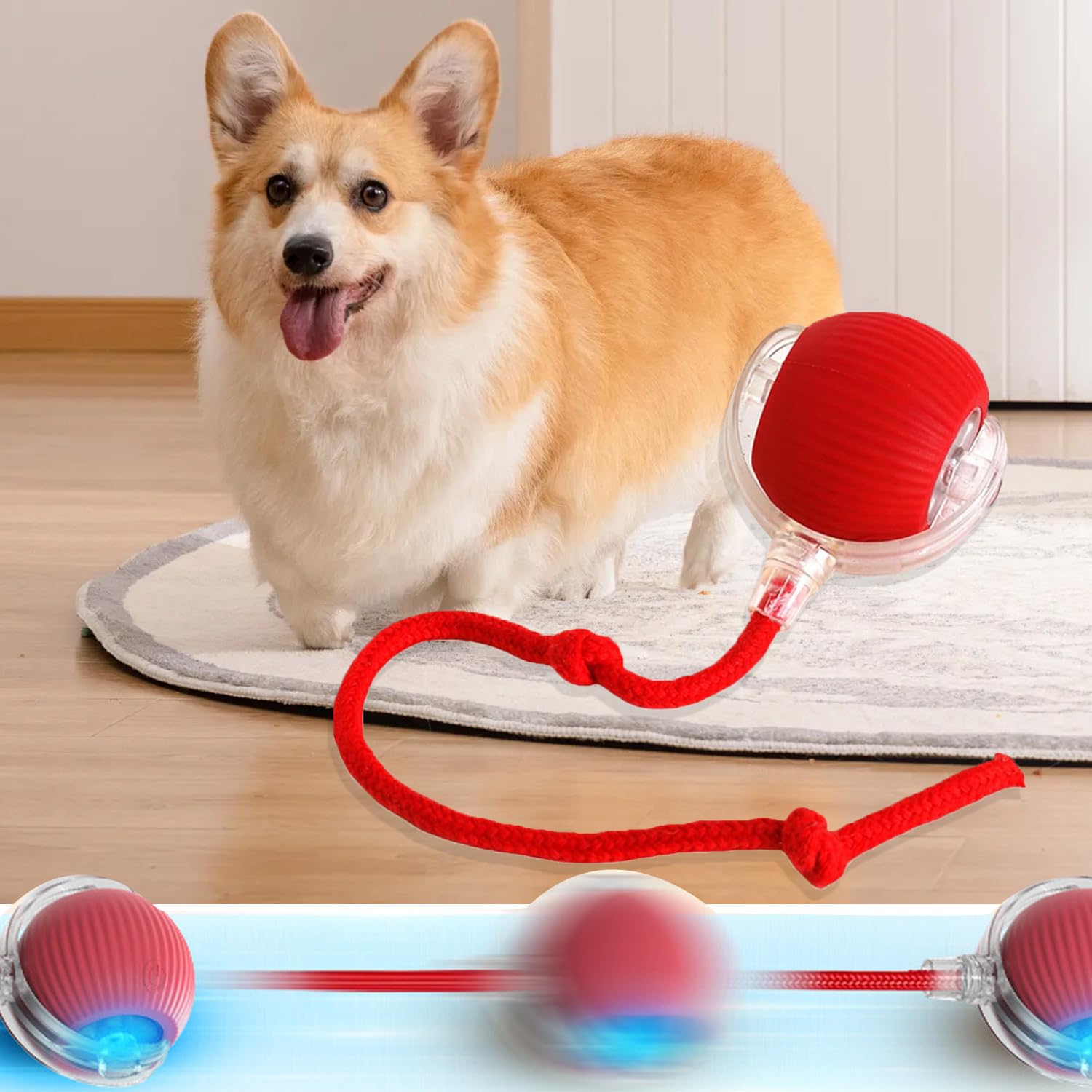 2Pcs Interactive Cat Toy, Interactive Dog Toys For Indoor Dogs And Cats, Interactive Cat Toys, Chewie Viral Rolling Ball, 360 Sm