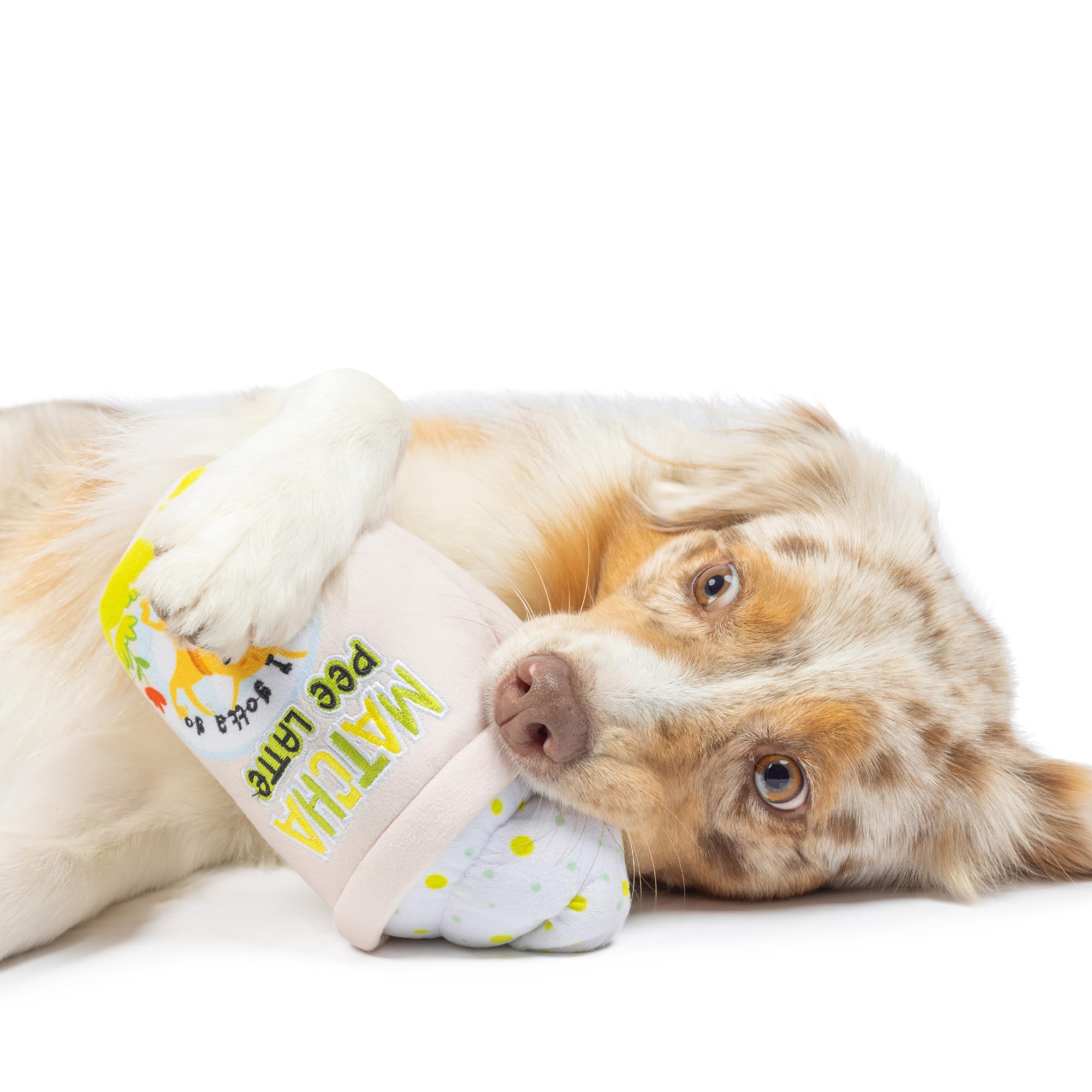 Huxley & Kent For Dogs | Matcha Pee Latte (Large) | Funny Dog Toy | Power Plush Dog Toy With Squeaker | Dog Gift | Fun, Durable