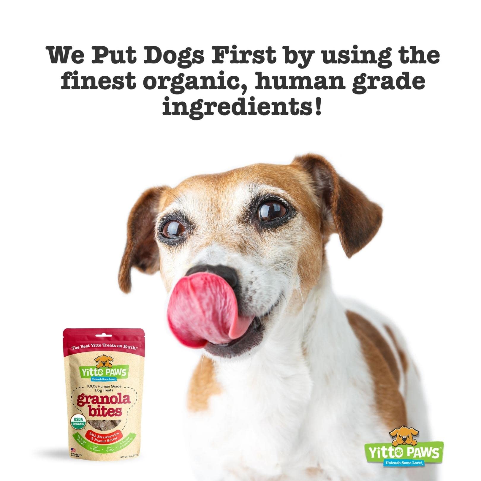 Crunchy Organic Peanut Butter Dog Treats, Strawberry & Oats Healthy Dog Treats, Vegan All Natural Dog Training Treats Made in US