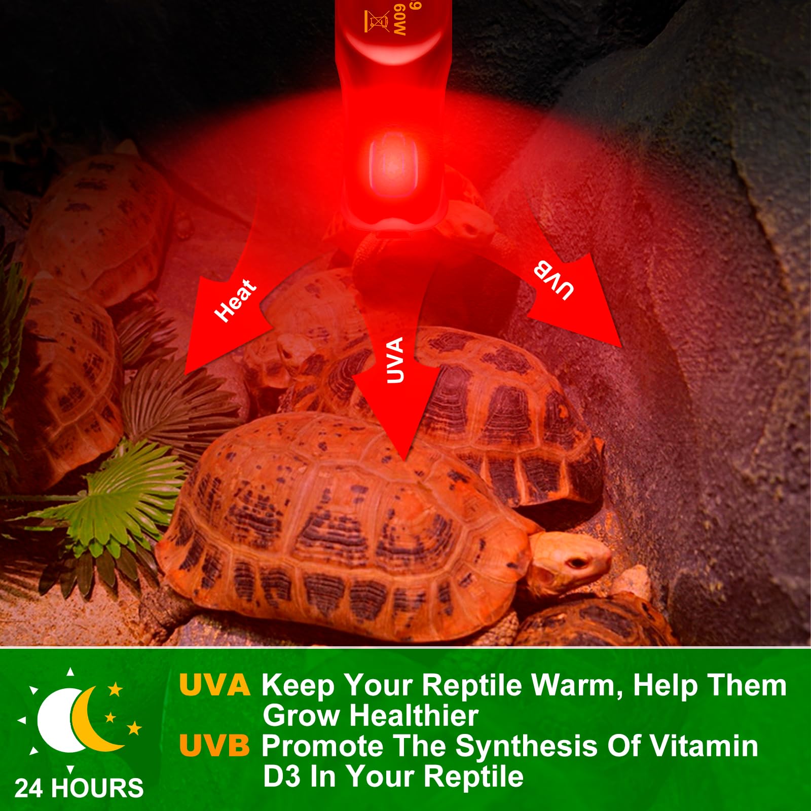 Jaenmsa G9 Heat Lamp Bulbs For Reptile, 25W Lizard Tank & Bearded Dragon Accessories,Infrared Basking G9 Halogen Light Bulbs 2 Pin For Reptiles And Amphibian Use,Night Red,2 Pack