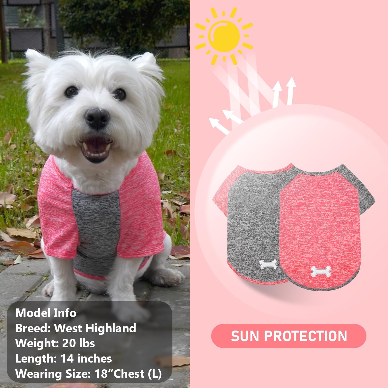 Kyeese 2 Pack Dog Shirts Quick Dry Lightweight Stretchy Dog T-Shirts With Reflective Label Raglan Sleeve Sun Protection Pet Clot