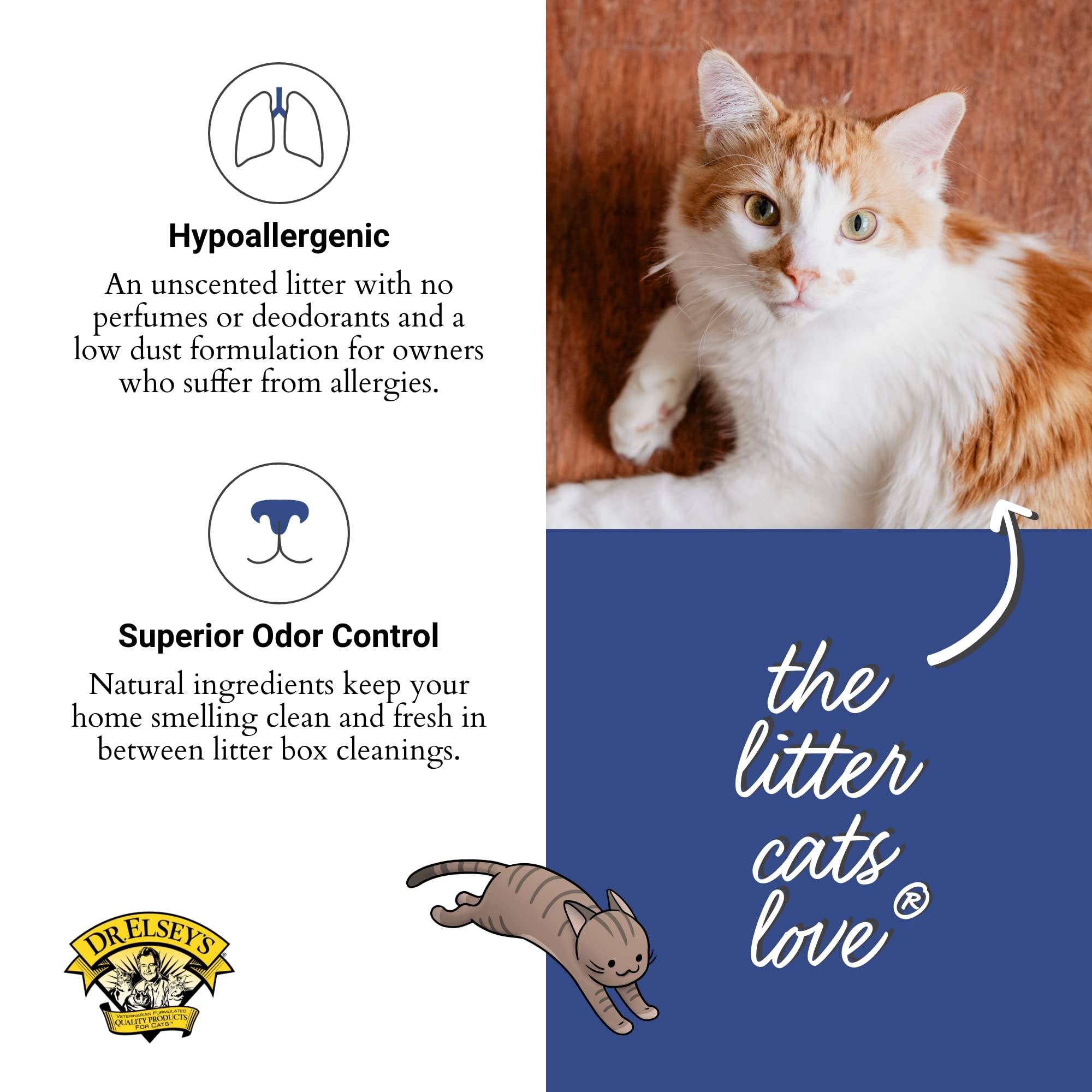 Precious Cat Senior Litter, 8Lbs