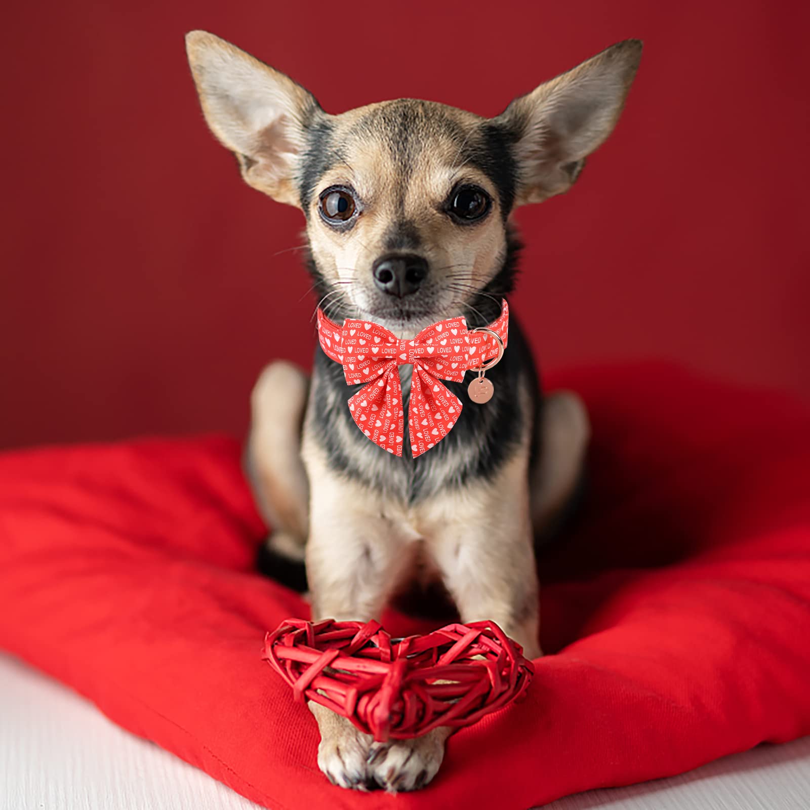 Up Urara Pup Valentine Dog Collar With Bow Tie, Valentine Bowtie Collar For Puppy Girl Boy Dog Or Cat, Cotton Collar With Durable Metal Buckle, Valentine’S Day Gift Pet Collar, Xs, Neck 8-12In