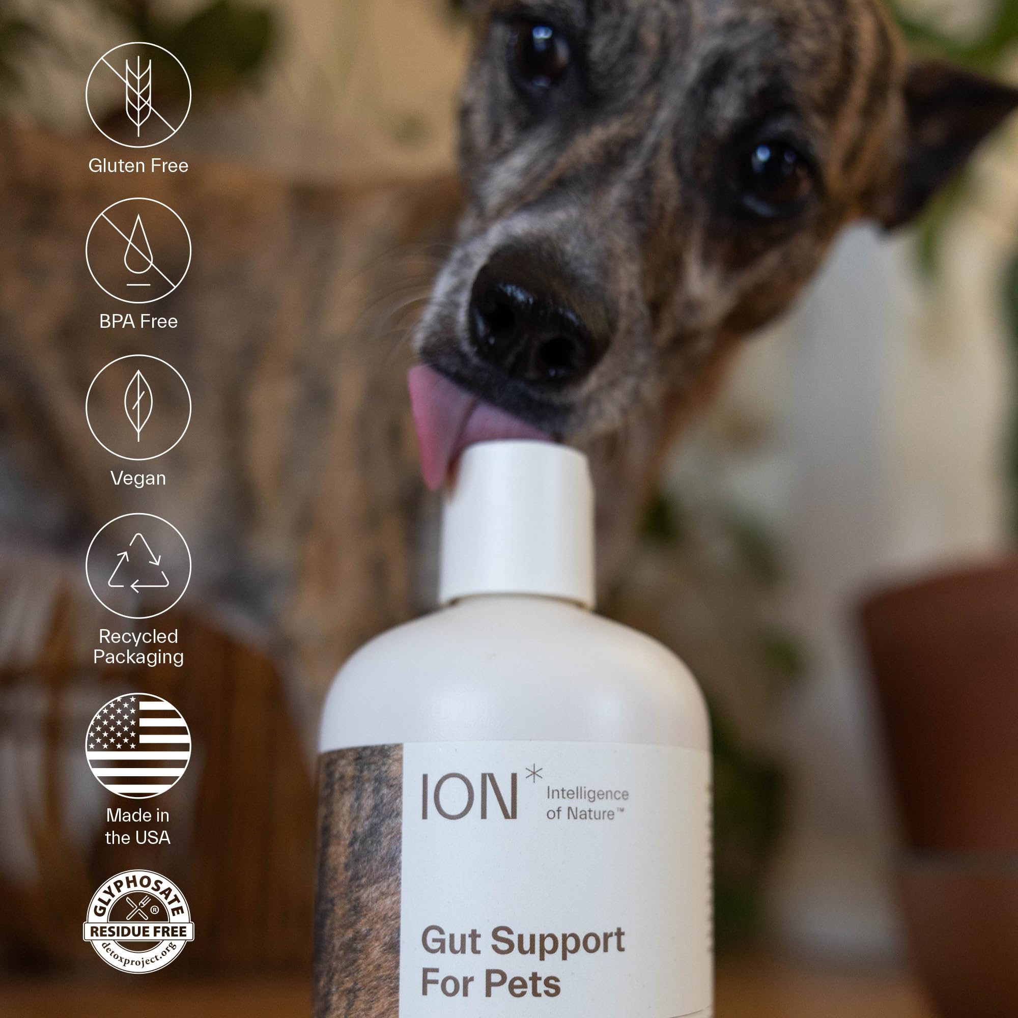 ION* Gut Support Liquid Probiotics for Dogs & Cats, 8 fl oz - Digestive Health & Skin Care for Pets
