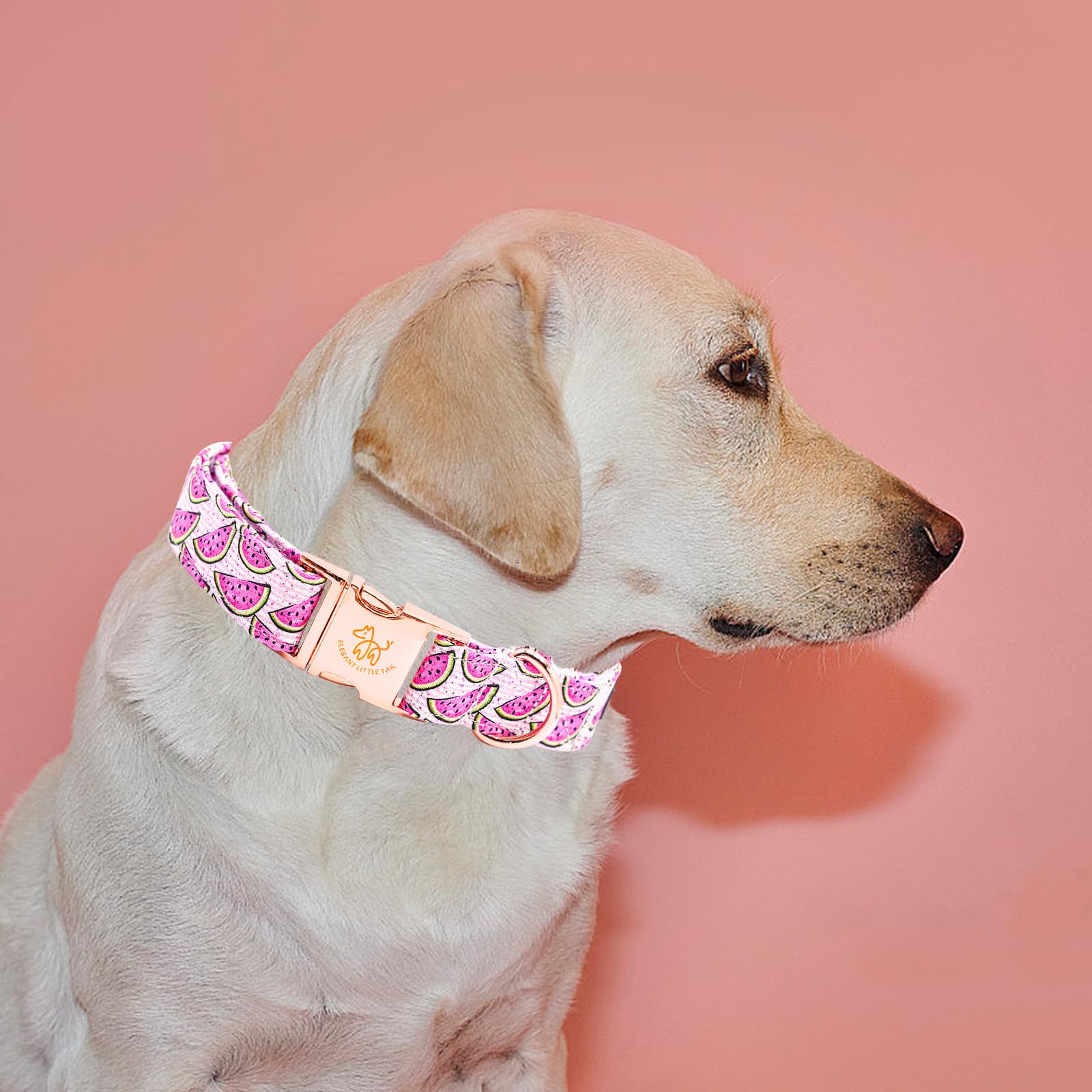 Elegant Little Tail Watermelon Print Summer Dog Collar - Cotton, Durable, Metal Buckle - X-Large Dogs