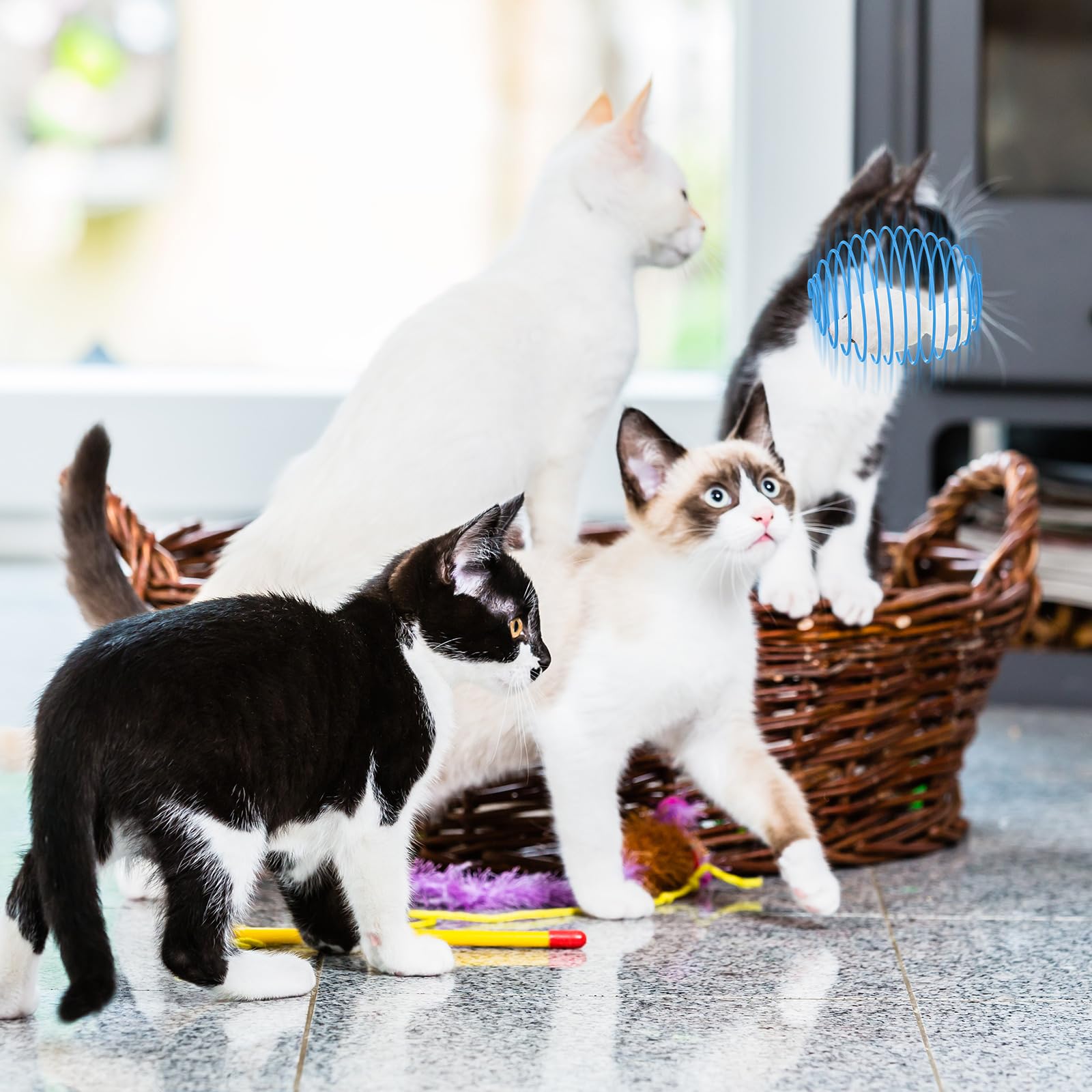 Jecery 5 Pcs Cat Spring Balls Stretchable Springs Toys Interactive Rolling Balls Colorful Playful Coils Spring Action Toy Caged