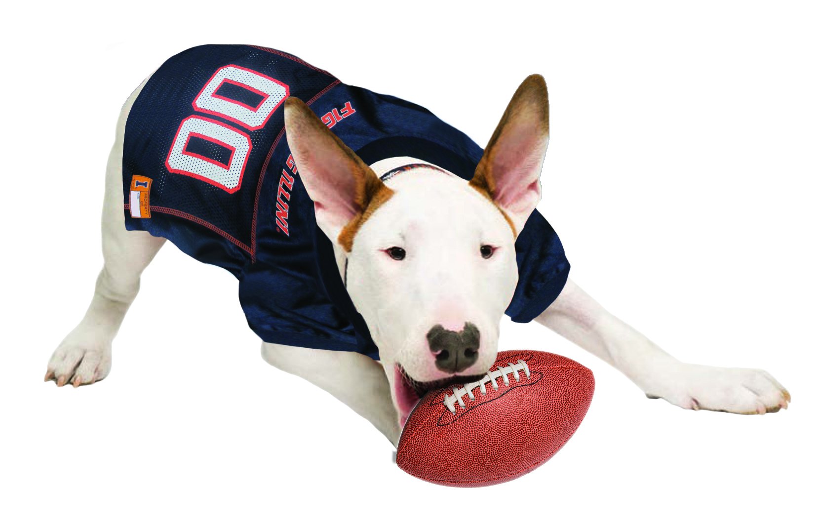 Pets First NCAA College Illinois Fighting Illini Mesh Jersey for DOGS & CATS, Size Small, Licensed Dog Jersey with your Favorite