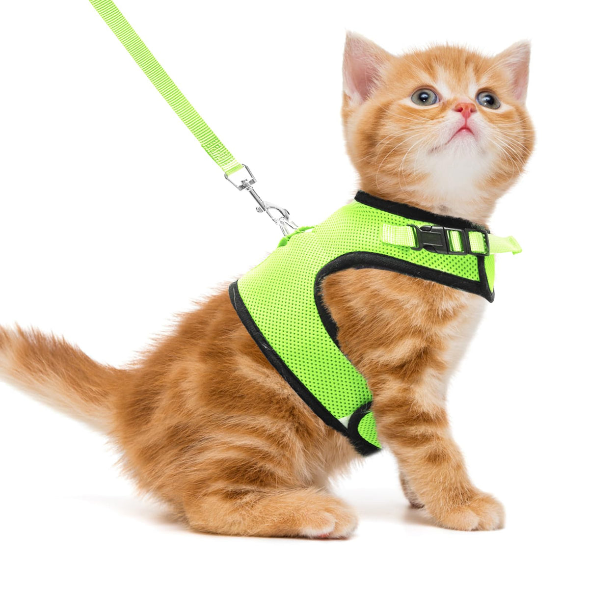 Pupteck Soft Mesh Cat Vest Harness And Leash Set Puppy Padded Pet Harnesses Escape Proof For Cats Small Dogs Rabbits Bunny, Fluo