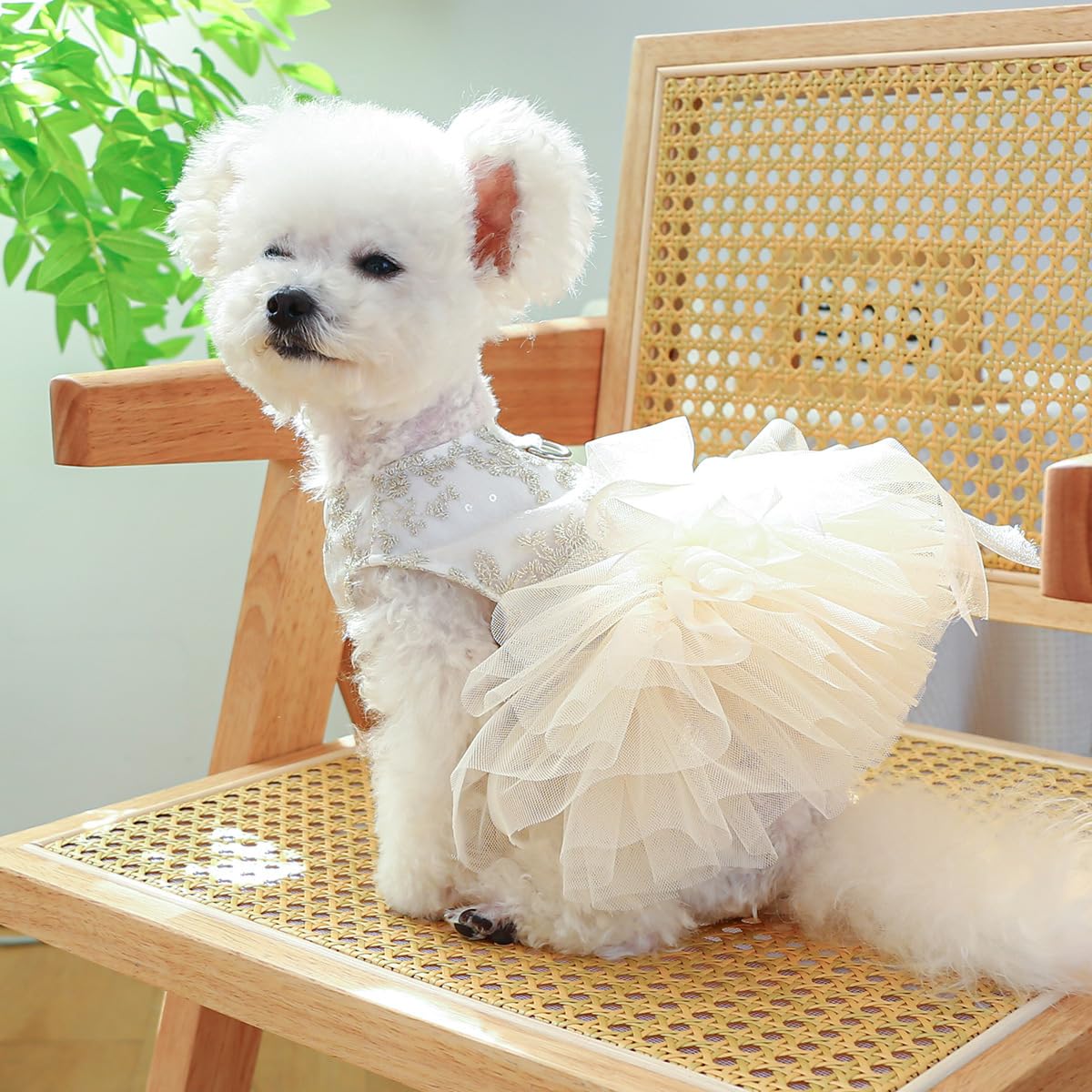 Small Dog Clothes For Puppy Dresses Doggie Female Tutu Dress For Girls Dog Puppies Clothes For Medium Dogs Outfits M