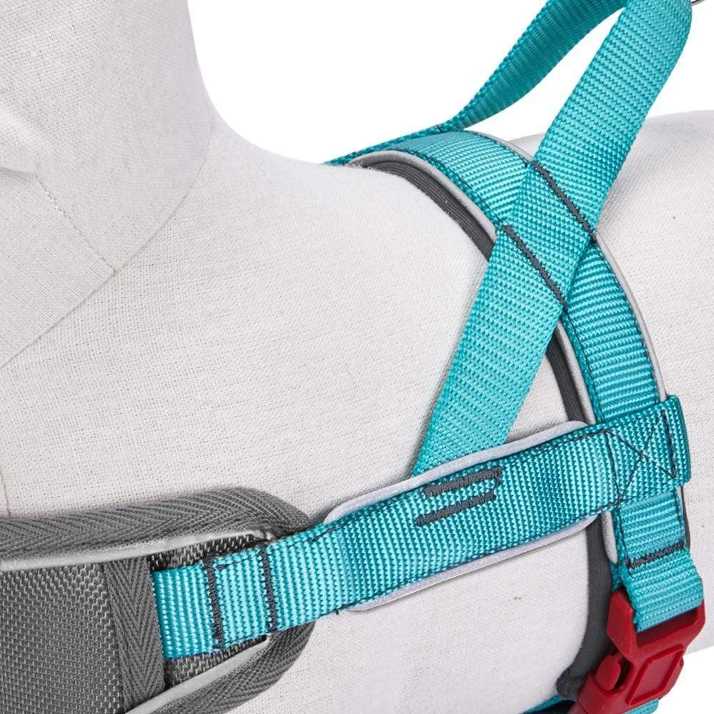 Blueberry Pet 8 Colors Soft & Comfy 3M Reflective Strips Padded Dog Harness Vest, Chest Girth 20.5' - 26', Lake Blue, Medium, Nylon Adjustable Training Harnesses For Dogs