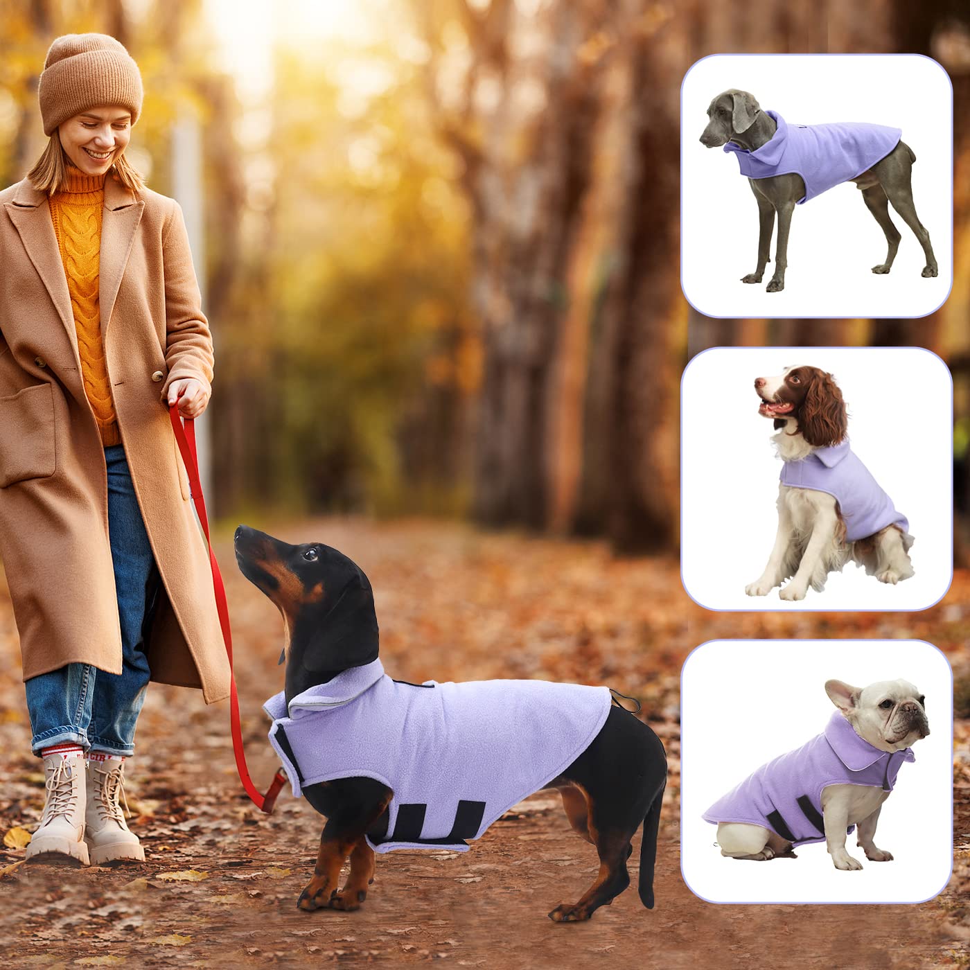 Fleece Dog Coat Winter Pet Jacket Reflective For Cold Weather For Large Medium Small Dogs(Purple,3Xl)