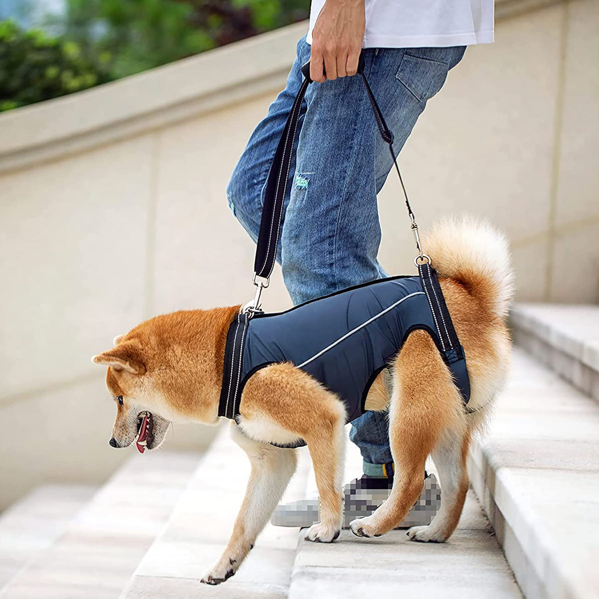 Dog Lift Harness Full Body Support & Recovery Sling Dog Lifter Vest Harness for Old, Joint Injuries, Arthritis, Disabled Dogs Wa