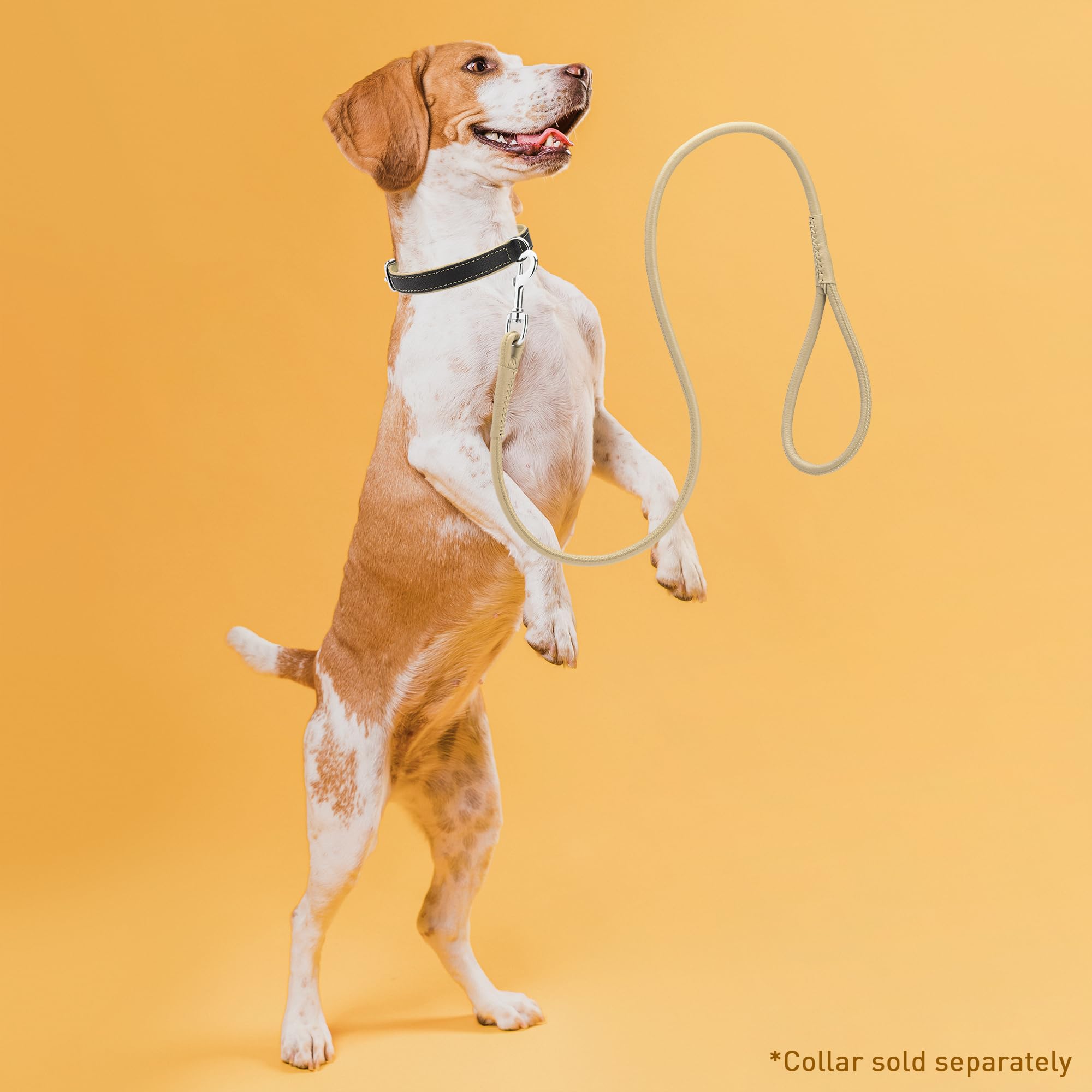 Dogline Rolled Leather Dog Leash - For Small, Medium And Large Breeds - Soft And Padded Lead Luxury Design - Beige - 3/8In W X 6Ft L