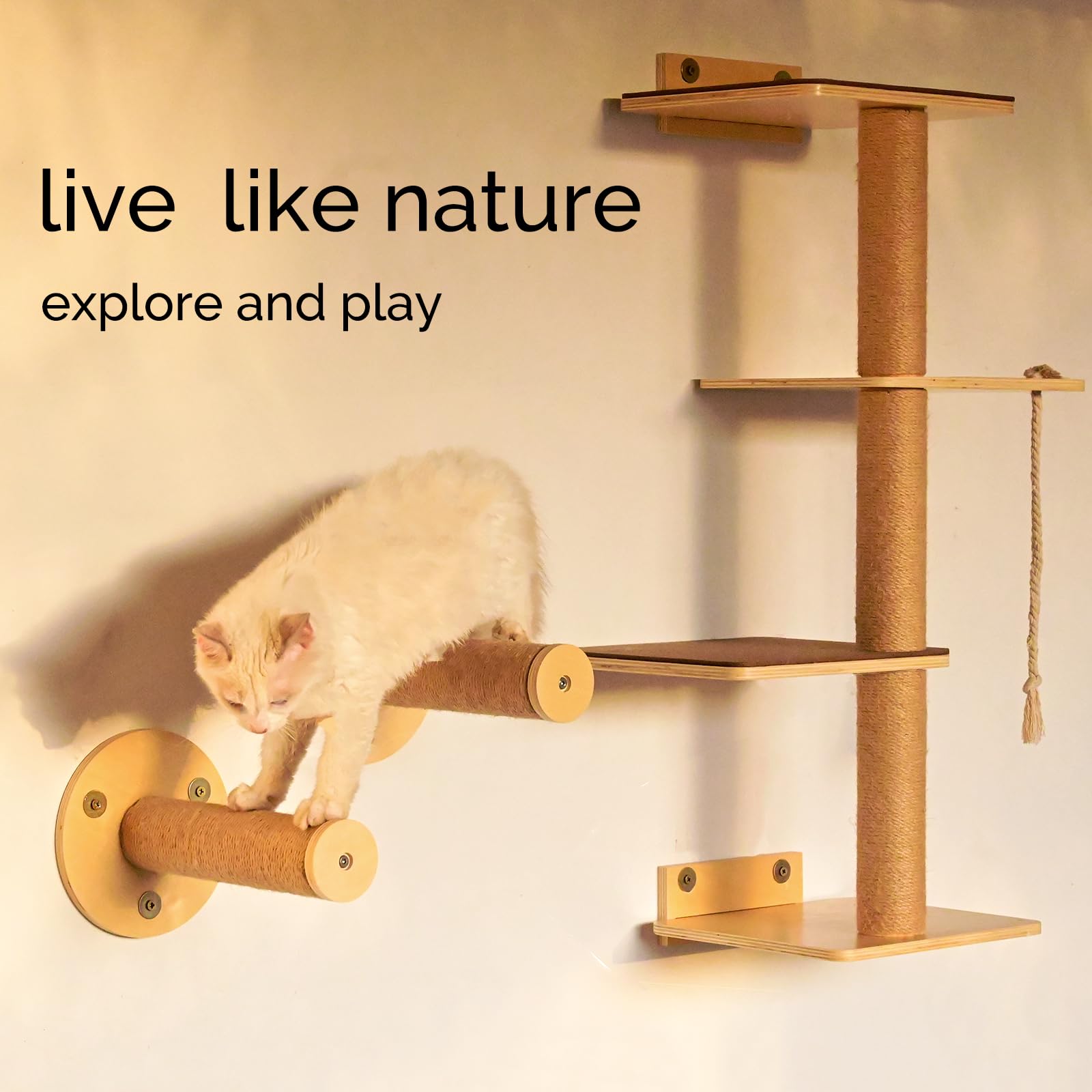 Cat Window Perch And Cat Wall Shelves 2 In 1 Cat Scratching Activity Tree Wall Mounted, Cat Scratch Post For Cats, Kittens With