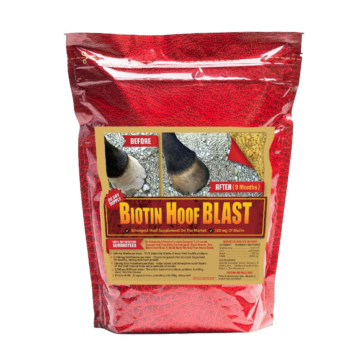 Hoof Supplements for Horses - Biotin Hoof Blast with 100mgs of Biotin per Serving - 10 lb, Concentrated Equine Hoof Health Supp