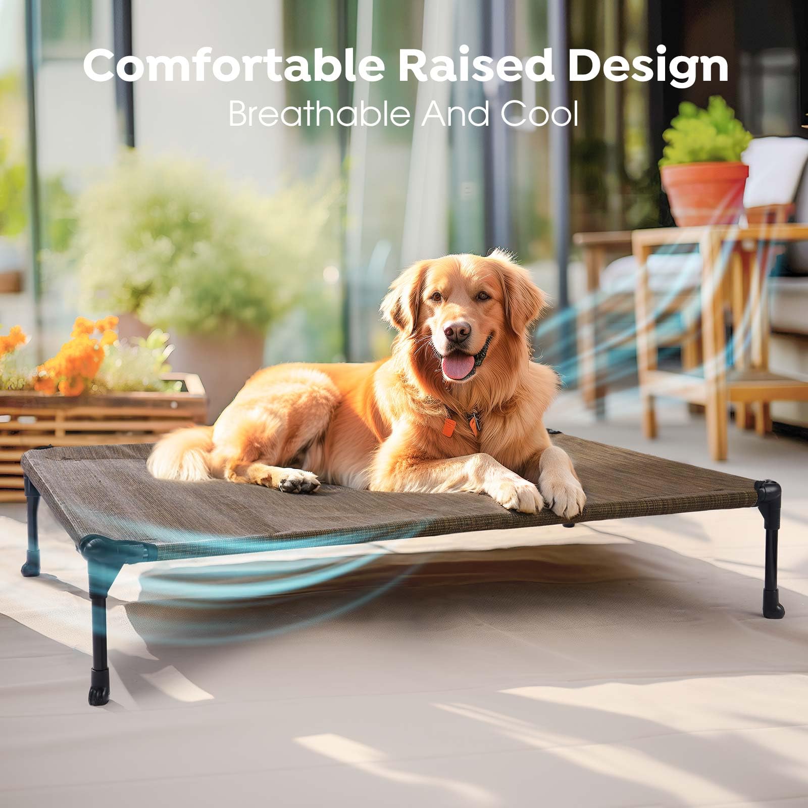 Veehoo Cooling Elevated Dog Bed, Portable Raised Pet Cot With Washable & Breathable Mesh, No-Slip Feet Durable Dog Cots Bed For Indoor & Outdoor Use, Large, Cwc1803-L