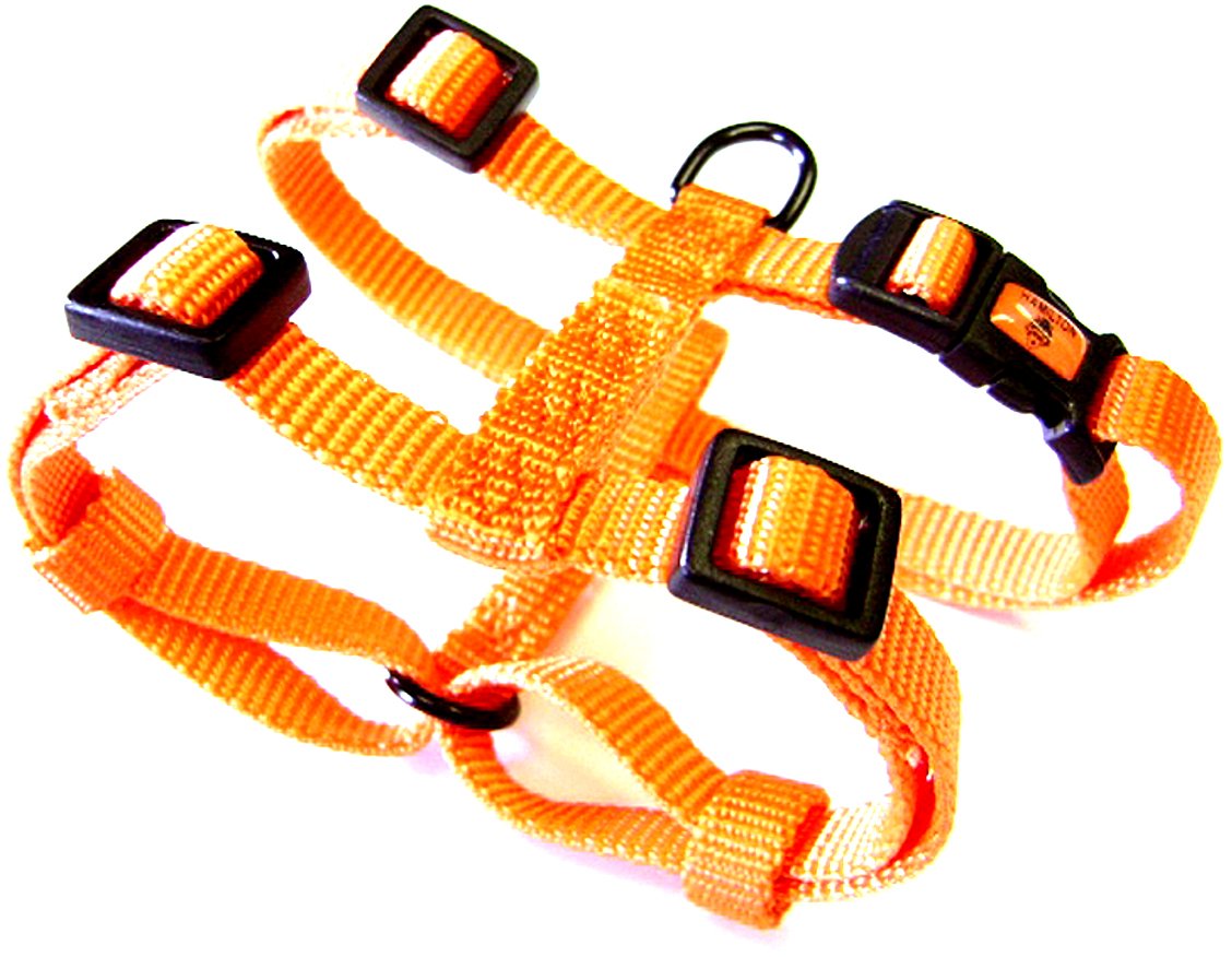 Hamilton Adjustable Comfort Nylon Dog Harness, Mango Orange, 3/8'' x 10-16''