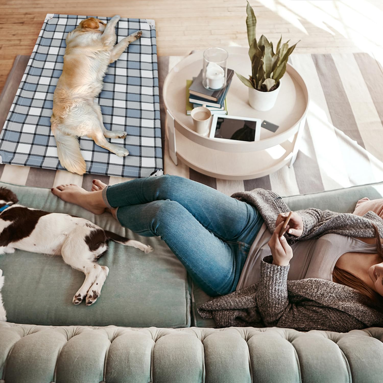 Caghash Elevated Outdoor Raised Dog Bed Outdoor Dogs Bed Lifted Pet Bed Dog Cot For Medium Pet Taste Life, Start With A Pet Bed