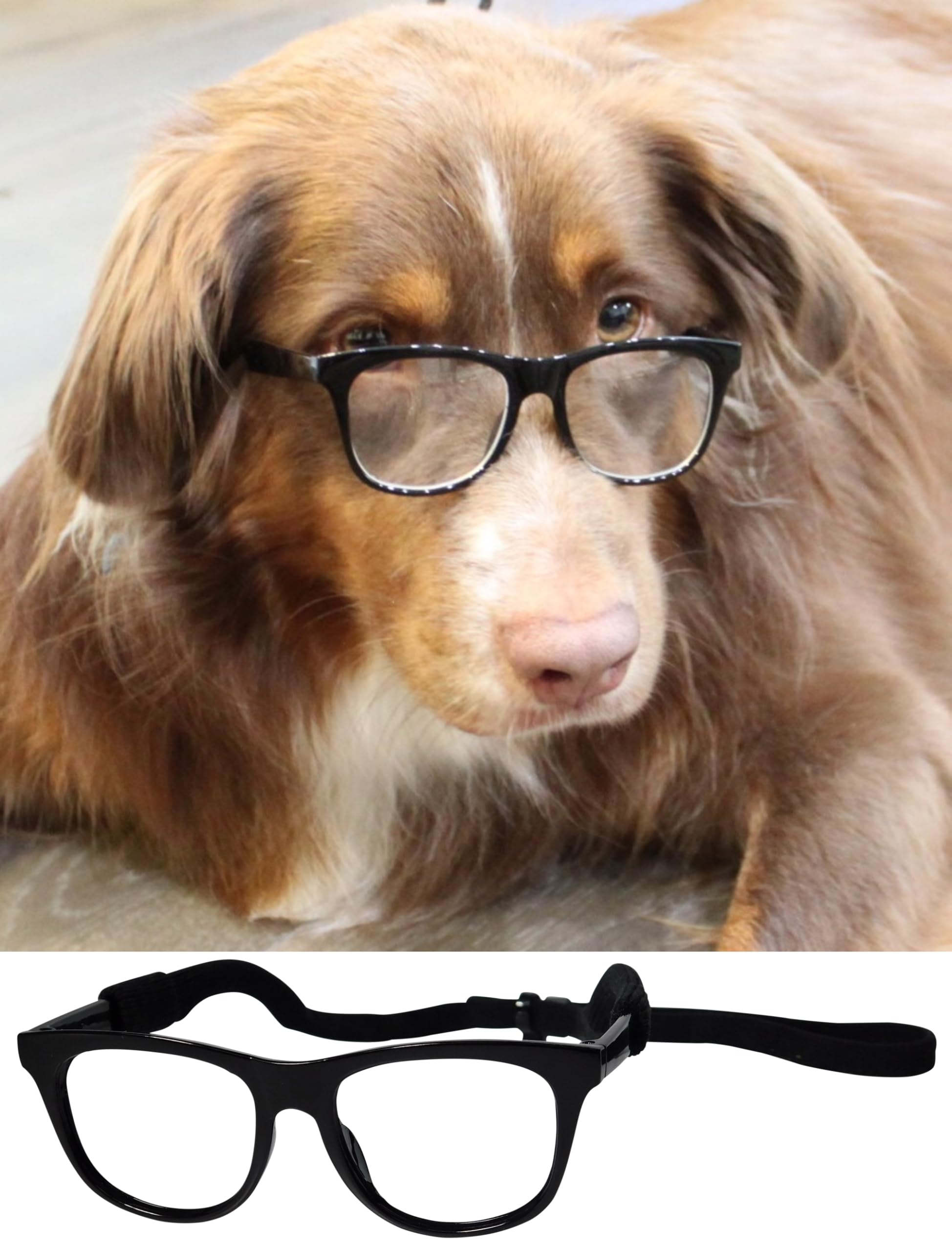 G003 Dog Glasses Medium Breeds 18-40Lbs Pet Cat Retro Hipster Nerd Costume Prop Clear Lens (80S Black-Clear)