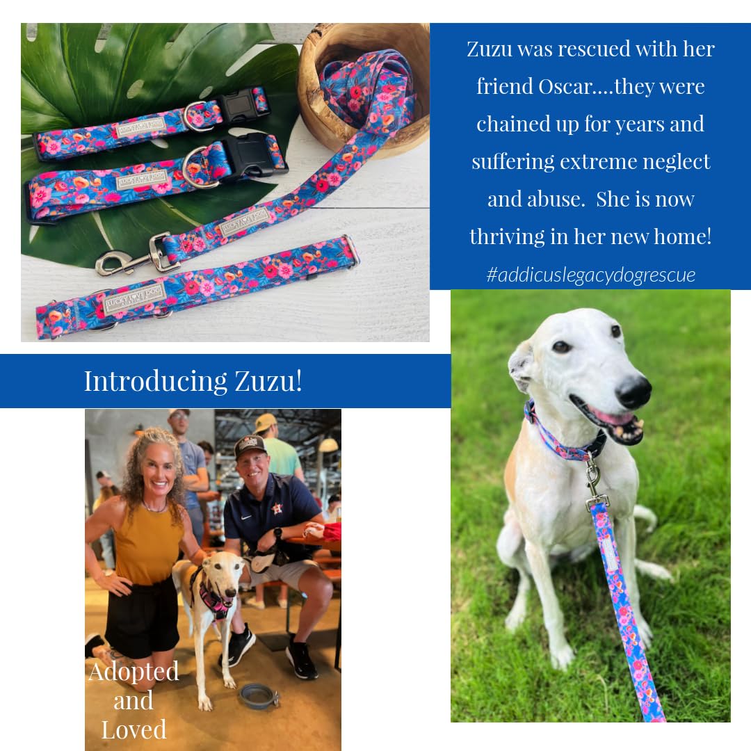 Lucky Love Dog Zuzu Small Dog Leash, Durable & Long Lasting