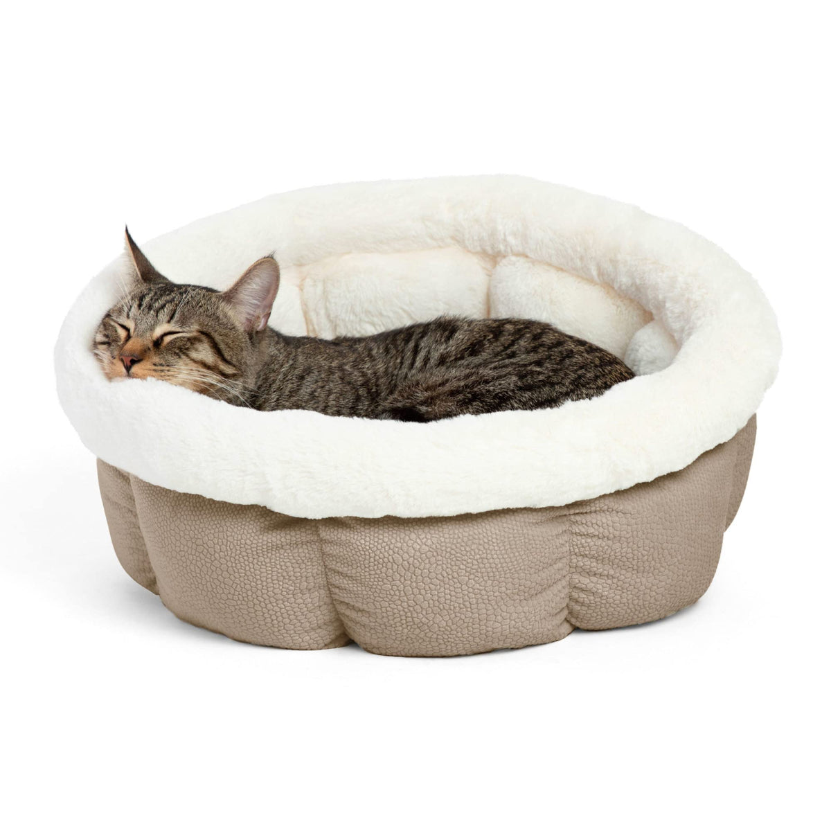 Best Friends By Sheri Cuddle Cup Ilan Cozy Microfiber Cat And Dog Bed In Standard Wheat