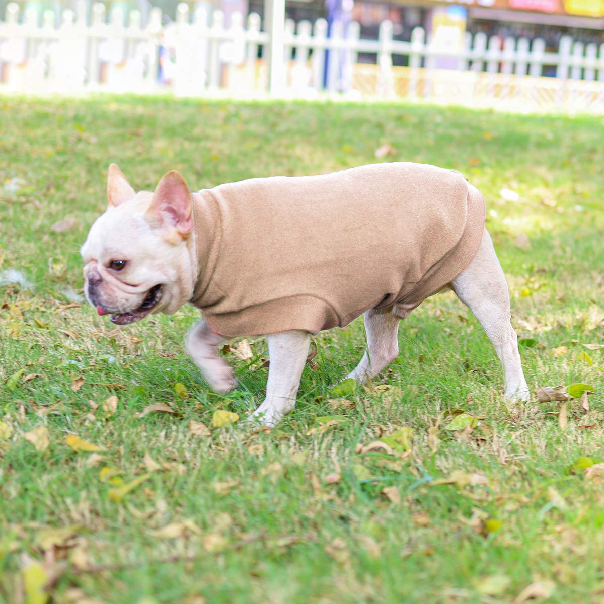 Small Dogs Fleece Dog Sweatshirt - Cold Weather Hoodies Spring Soft Vest Thickening Warm Cat Sweater Puppy Clothes Sweater Winter Sweatshirt Pet Pajamas For Small Dog Cat Puppy