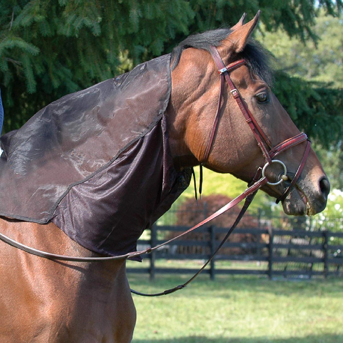 Cashel Quiet Ride Horse Hood