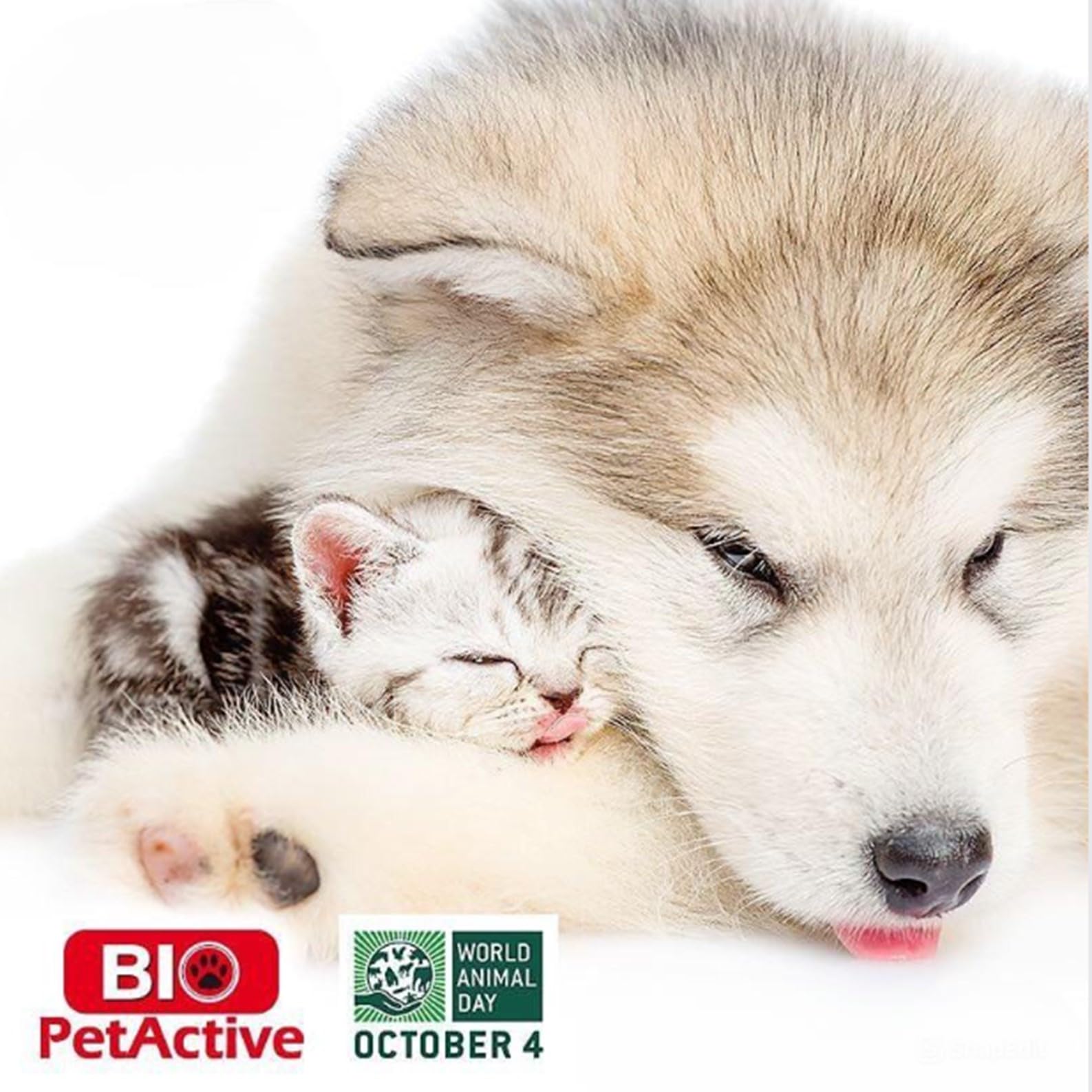 Bio Pet Active Beauty Shine Spray For Cats And Dogs - Improves Coat Health, Reduces Static And Adds Shine, Moisturizes And Softe