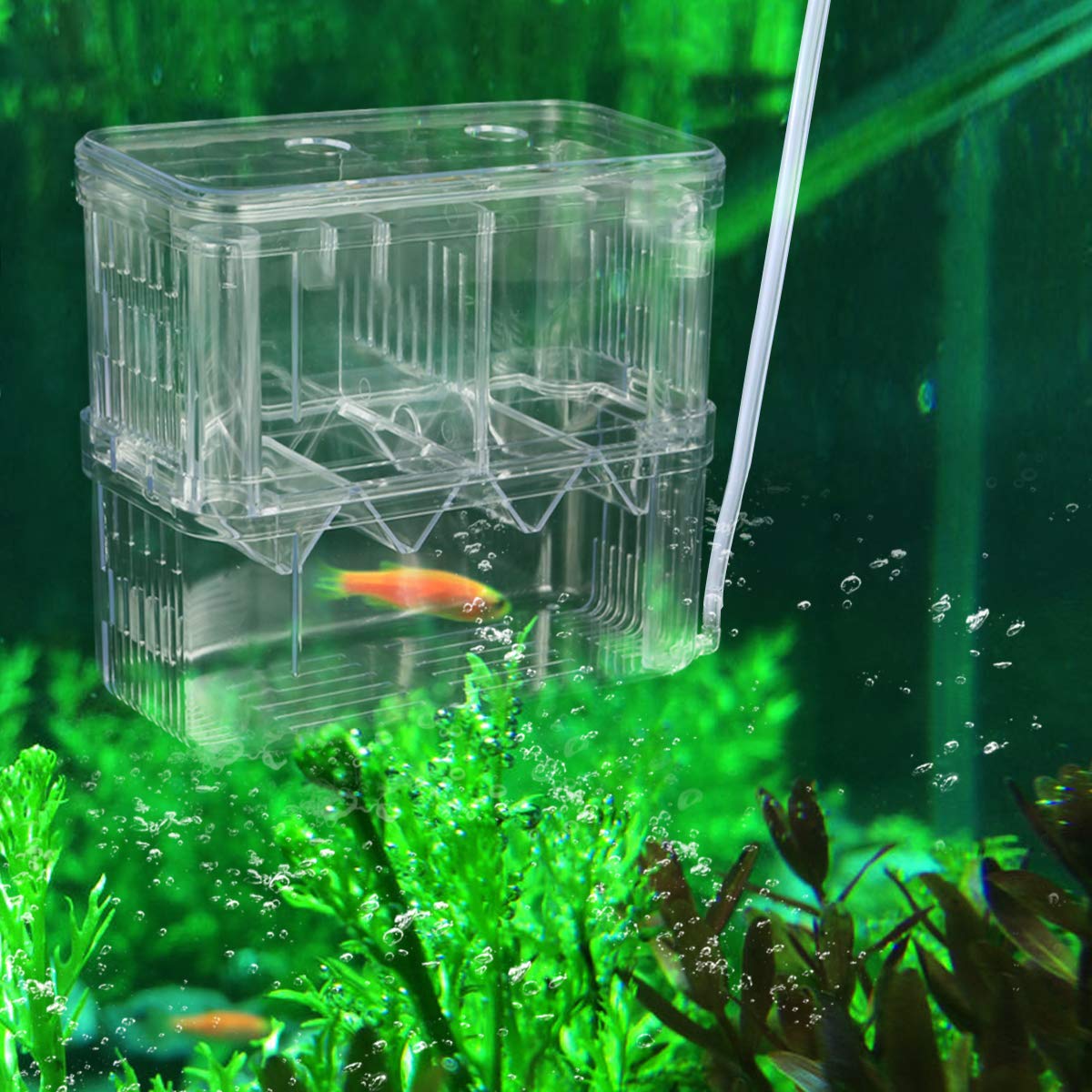 Senzeal Aquarium Fish Breeder Box Plastic Fish Isolation Breeding Box Hatching Incubator For Baby Fish Shrimp Clownfish Guppy