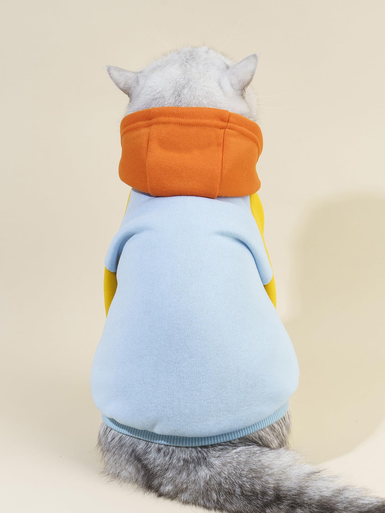 Qwinee Basic Dog Hoodie, Warm Jacket, Cat Apparel, Shirt, Clothes For Puppy Kitten Small Medium Dogs Cats - Orange And Blue Smal