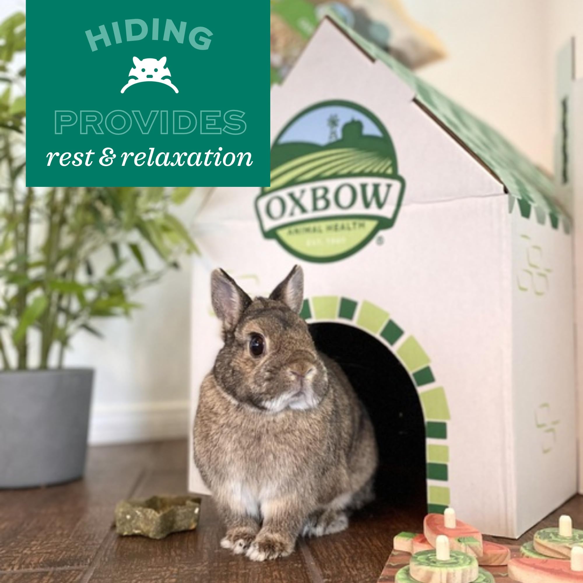 Oxbow Timothy Hay Mat - Edible Habitat Accessory for Rabbits, Guinea Pigs, Chinchillas & Rats - Hand-Woven Natural Mat and Chew,
