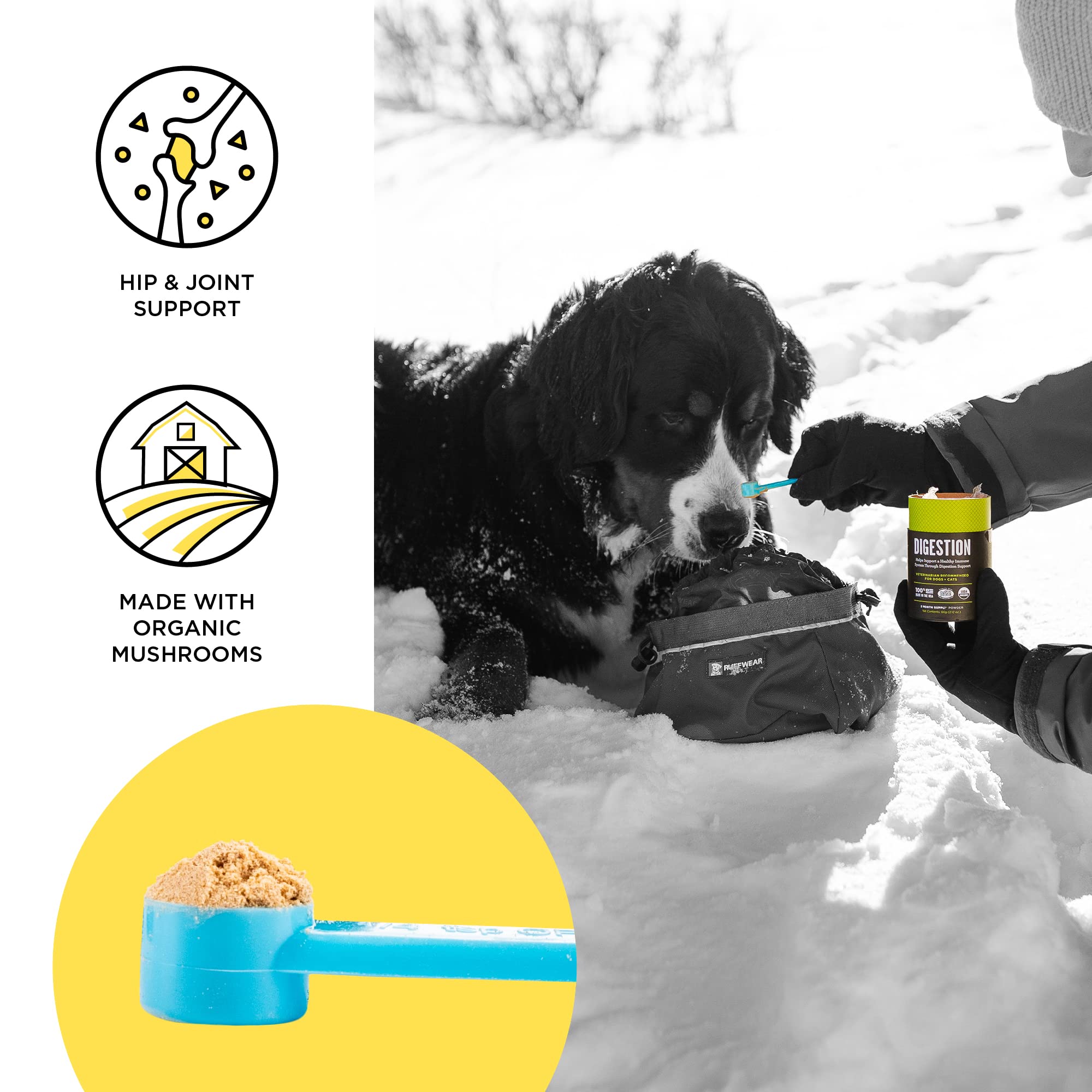 BIXBI Dog & Cat Joint Support, 2.12 oz (60 g) - All Natural Organic Pet Superfood - Daily Mushroom Powder Supplement - USA Grown