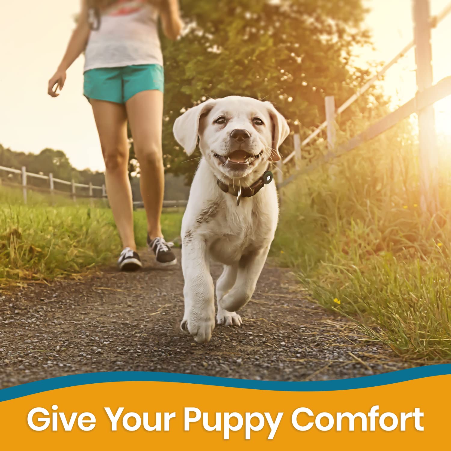 Pawbee Airtag Dog Collar Holder - 2 Pack Round Apple Air Tag Dog Collar Holder - Soft Silicone Dog Airtag Holder, Air Tag Pet Co