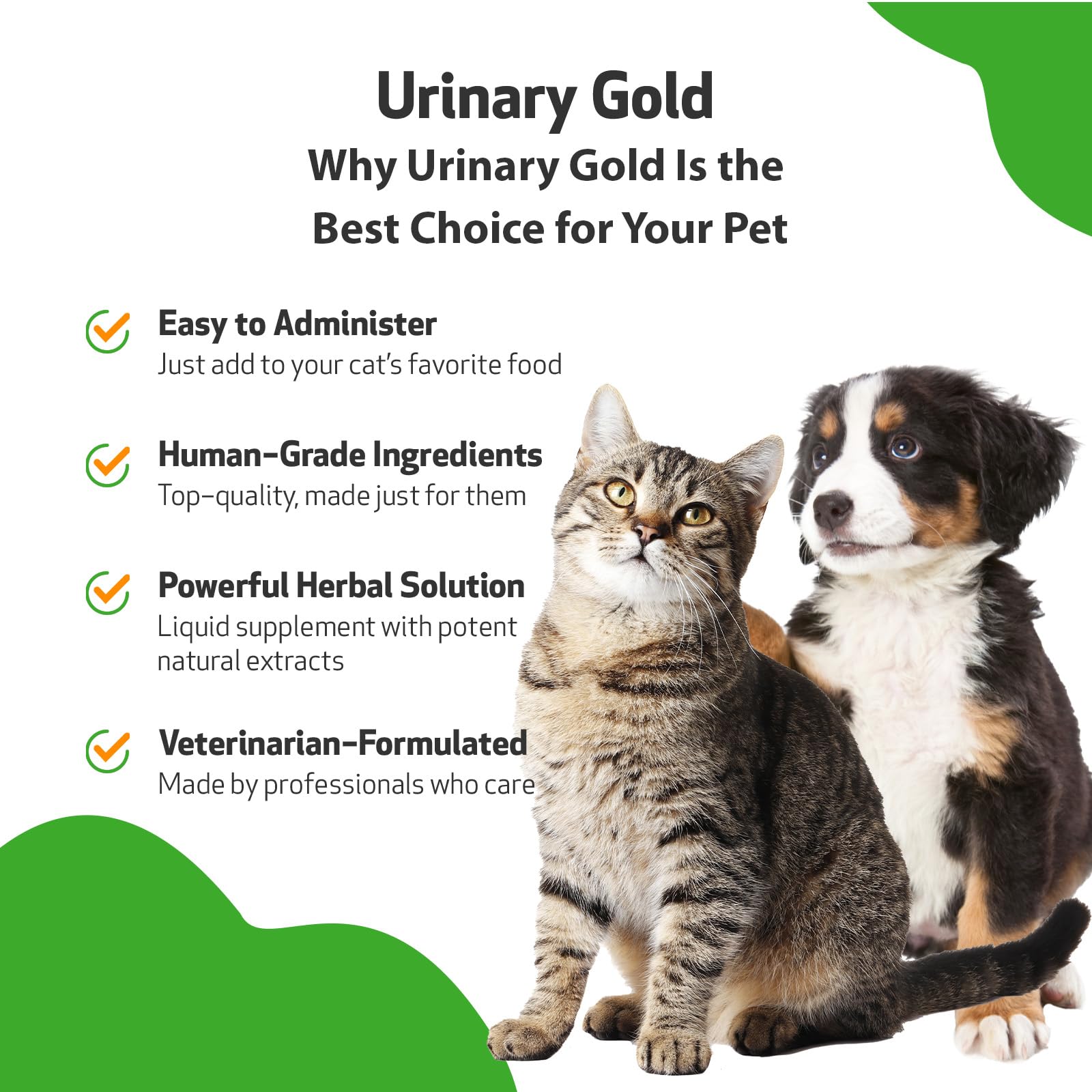 Pet Wellbeing Urinary Gold for Dogs - Supports Urinary Tract Health, Normal Frequency, Healthy Immune Response, Stoneroot, Hydra