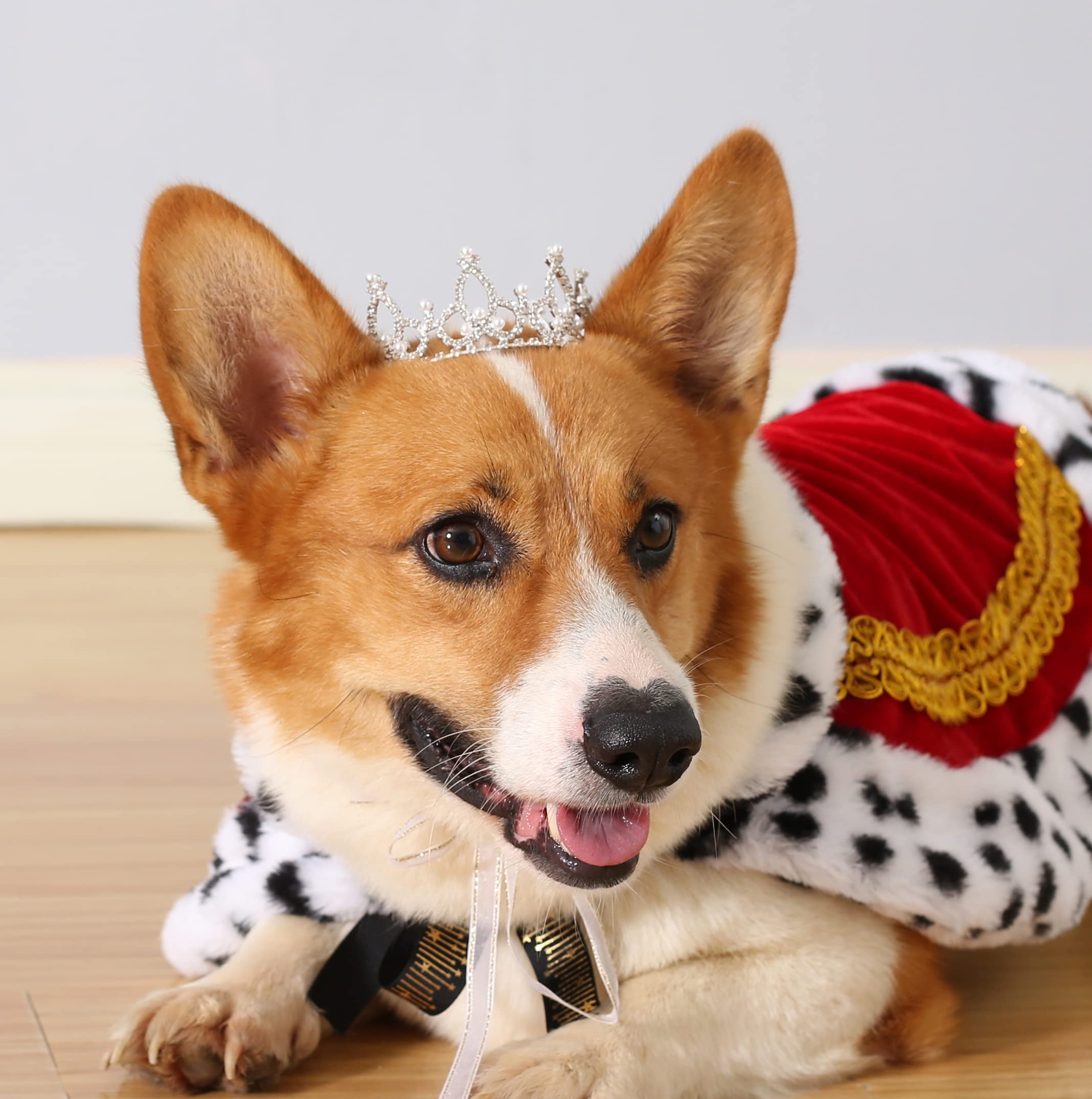 Lovelyshop Pet Series Silver Plated Royal Rhinestone Pearl Full Round Dog/Cat Crown For Rolyal Family Costume Hair Accessories-M