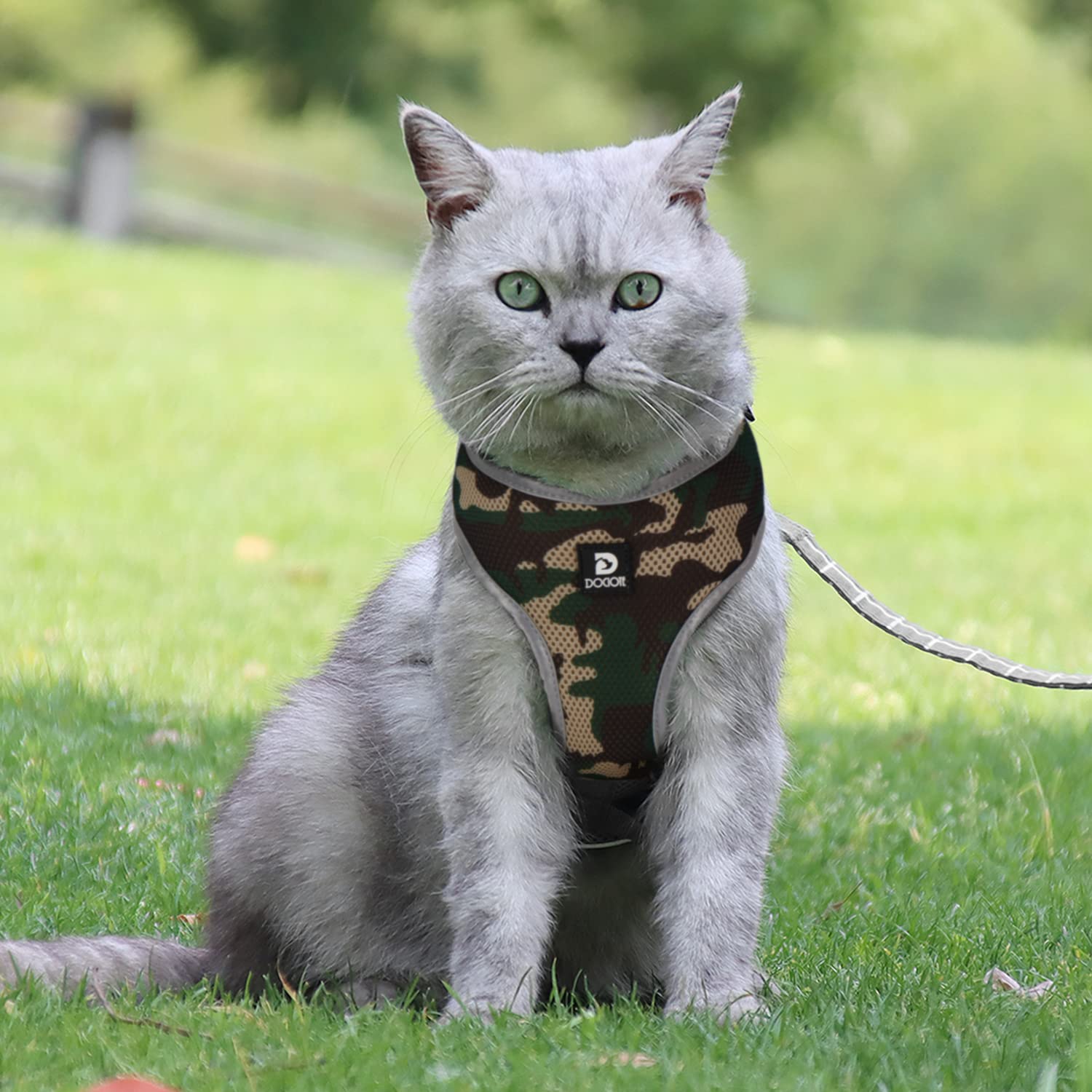 Puppy Harness And Leash Set - Dog Vest Harness For Small Dogs Medium Dogs- Adjustable Reflective Step In Harness For Dogs - Soft Mesh Comfort Fit No Pull No Choke (L, Camouflage Green)